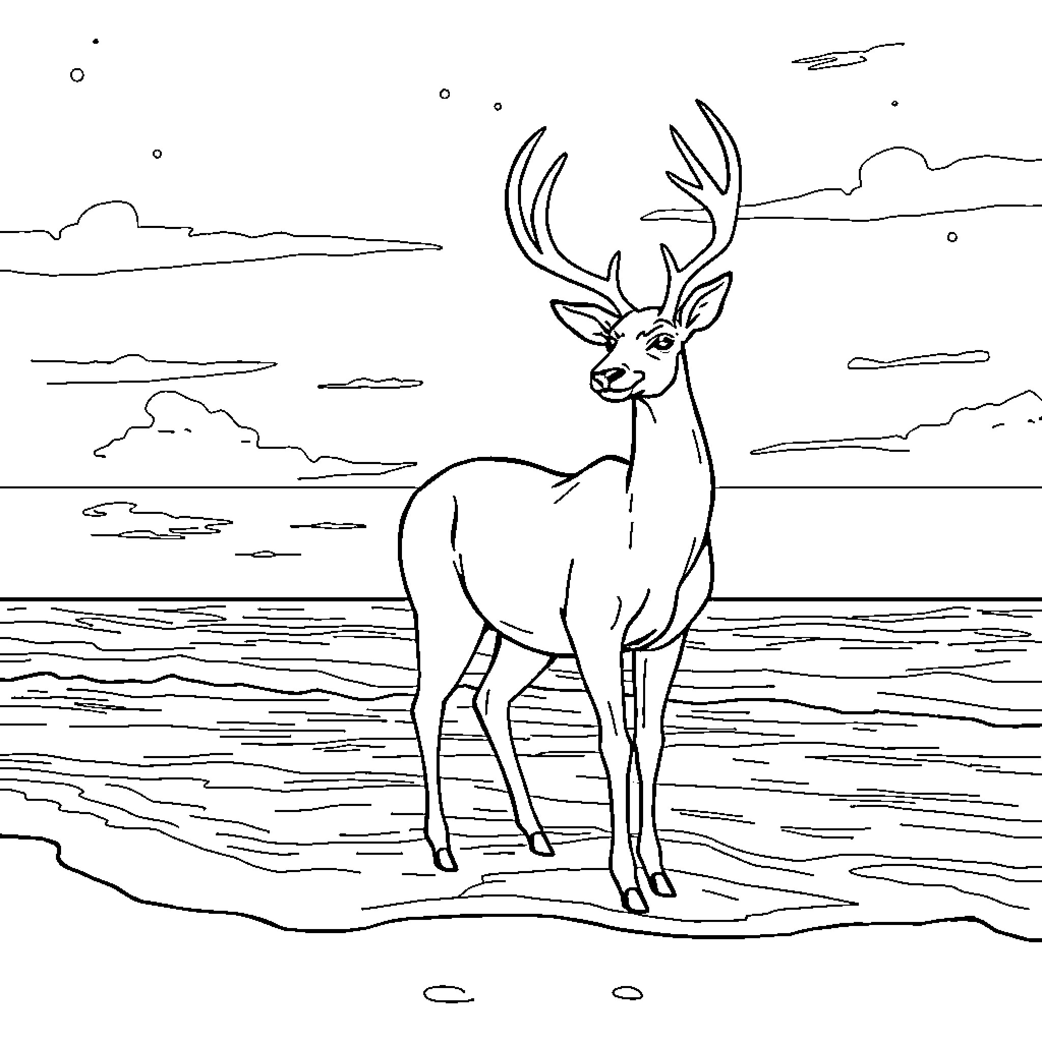 Deer standing majestically by the lake Coloring Page (free black-and-white line drawing printable PDF for all, from beginners to advanced learners, including children, teens, adults, and seniors)