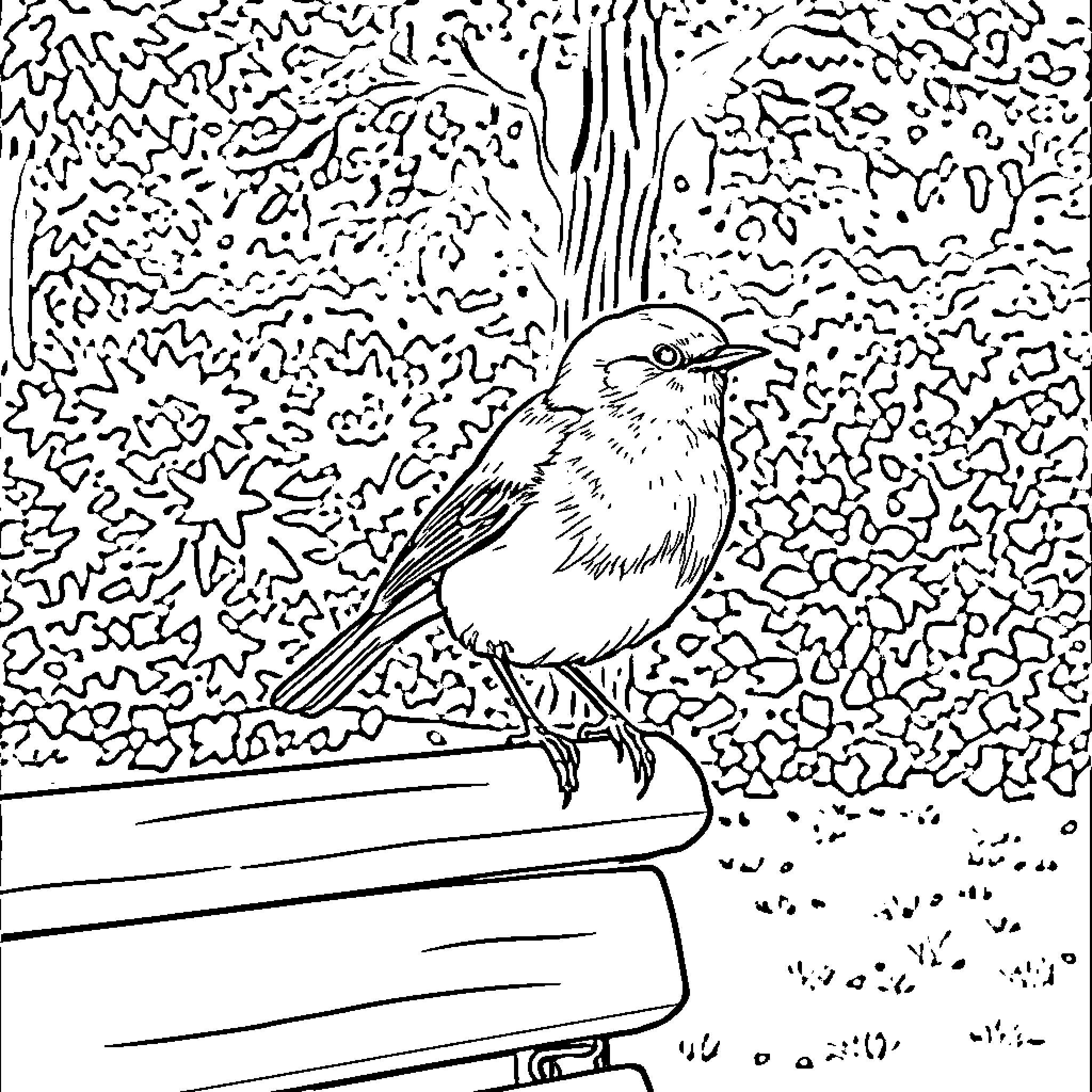 Robin perched on a fence in a natural setting Coloring Page (free black-and-white line drawing printable PDF for all, from beginners to advanced learners, including children, teens, adults, and seniors)