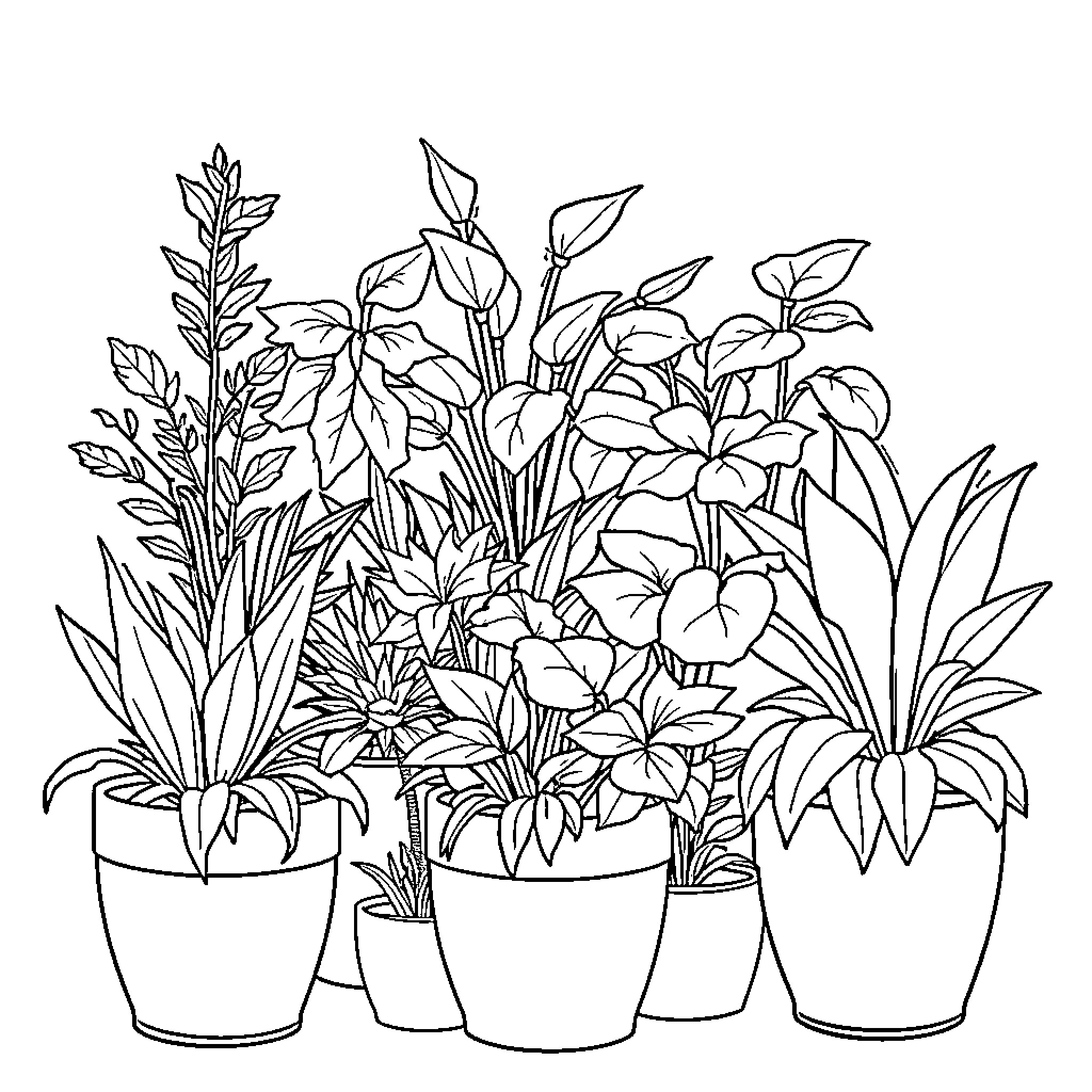 Plants growing in pots with diverse foliage Coloring Page (free black-and-white line drawing printable PDF for all, from beginners to advanced learners, including children, teens, adults, and seniors)
