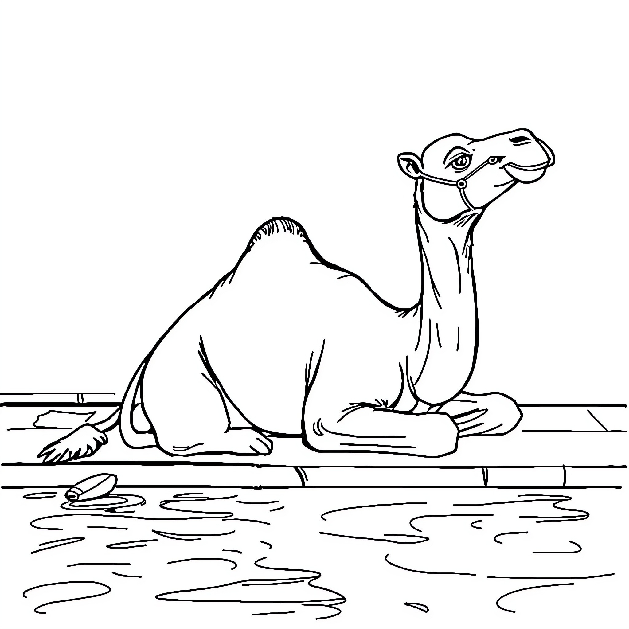 Camel resting peacefully in the desert Coloring Page (free black-and-white line drawing printable PDF for all, from beginners to advanced learners, including children, teens, adults, and seniors)
