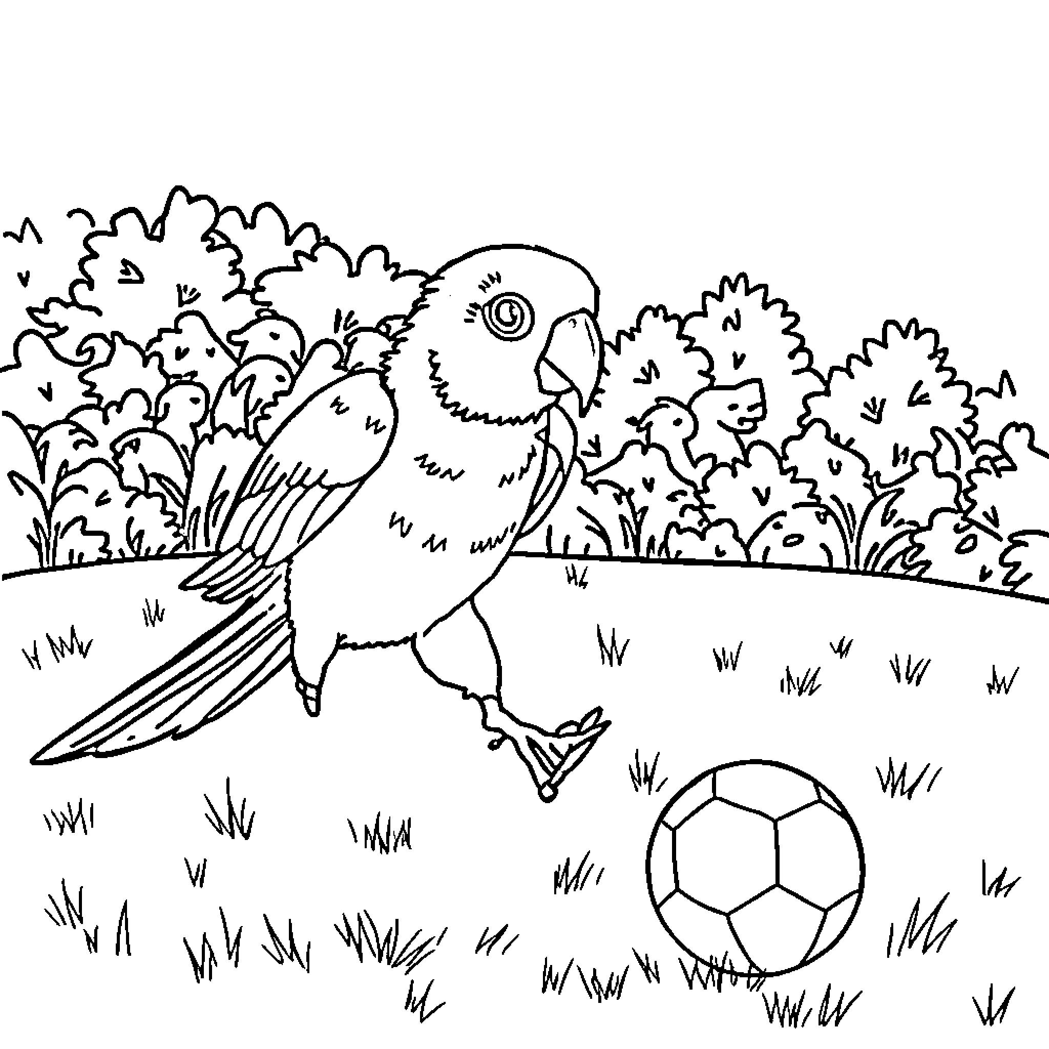 Parrot exploring the outdoors with a soccer ball Coloring Page (free black-and-white line drawing printable PDF for all, from beginners to advanced learners, including children, teens, adults, and seniors)