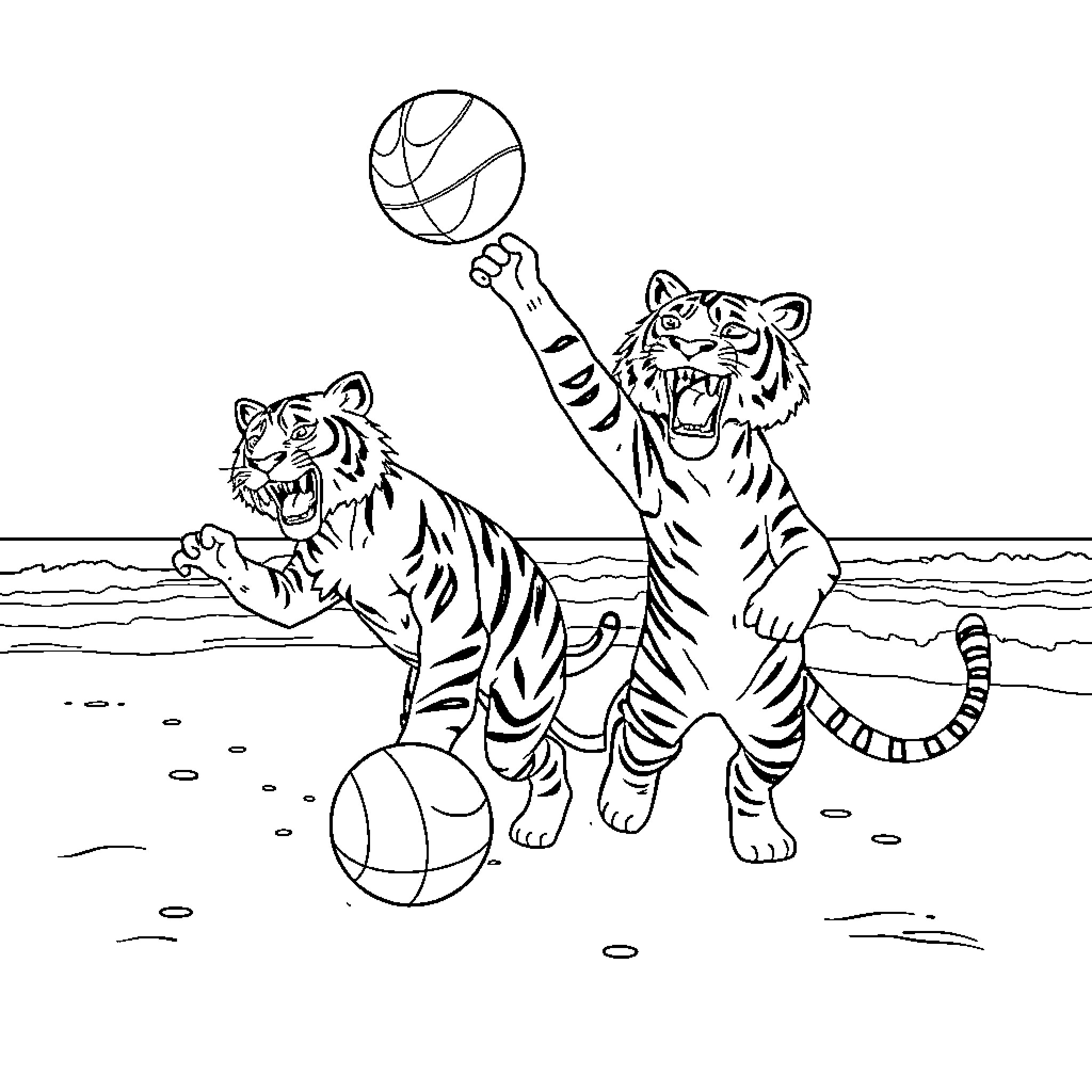 Tigers playing with ball on beach Coloring Page (free black-and-white line drawing printable PDF for all, from beginners to advanced learners, including children, teens, adults, and seniors)
