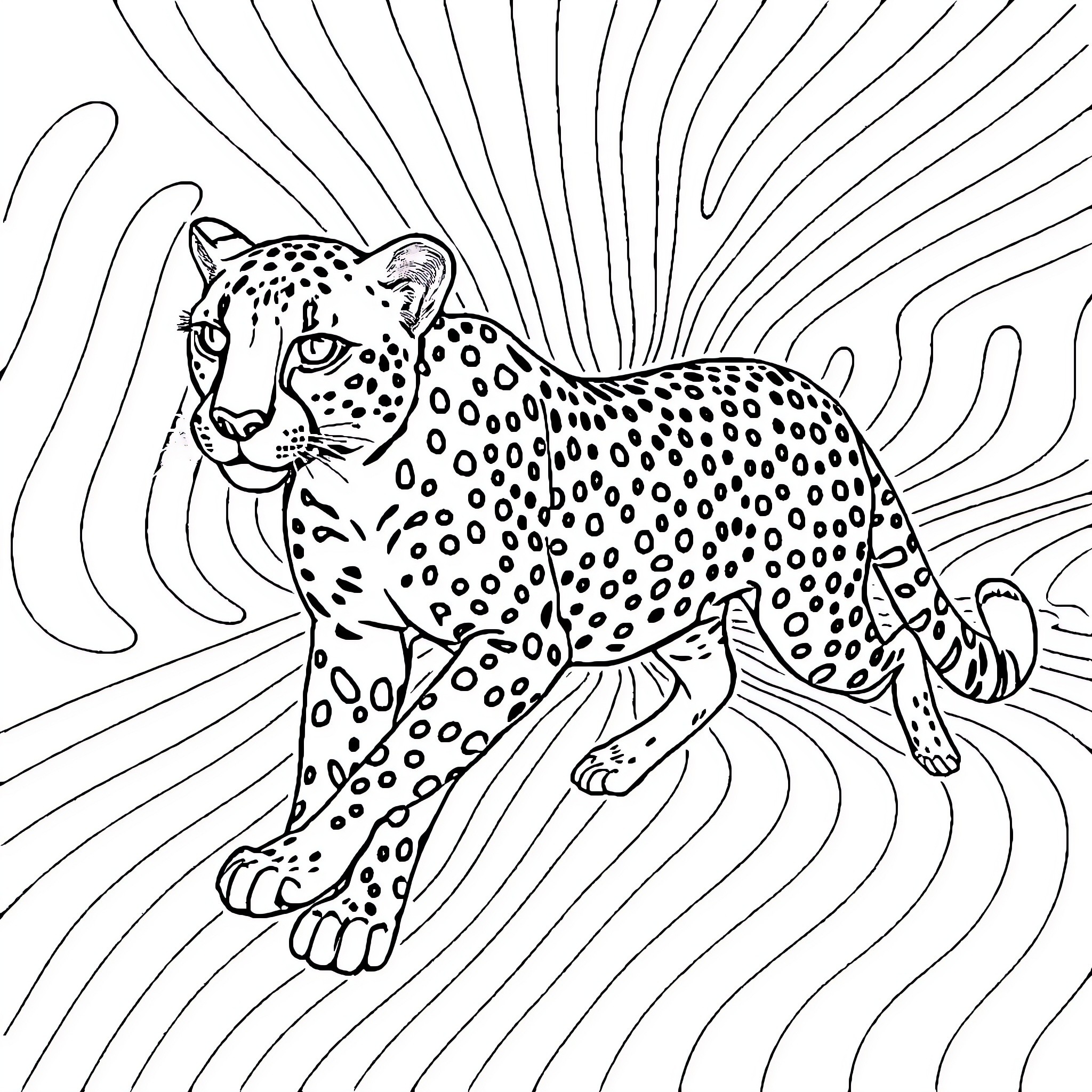 Cheetah in motion with abstract background Coloring Page (free black-and-white line drawing printable PDF for all, from beginners to advanced learners, including children, teens, adults, and seniors)