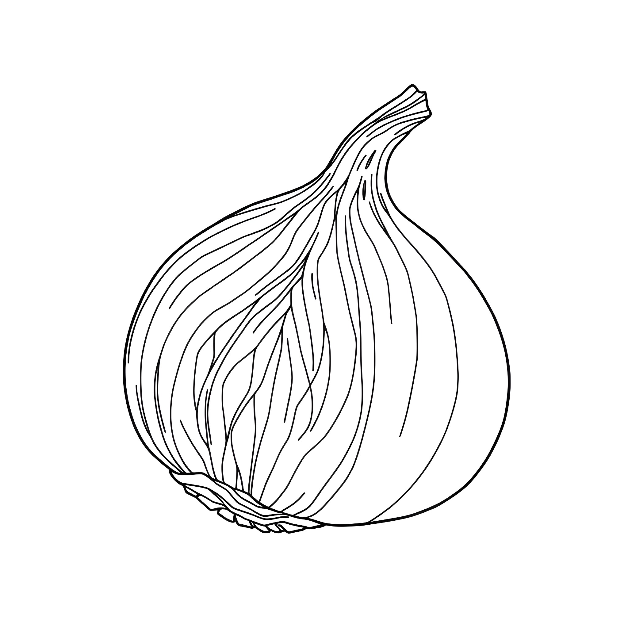 Onion with detailed segmented layers Coloring Page (free black-and-white line drawing printable PDF for all, from beginners to advanced learners, including children, teens, adults, and seniors)
