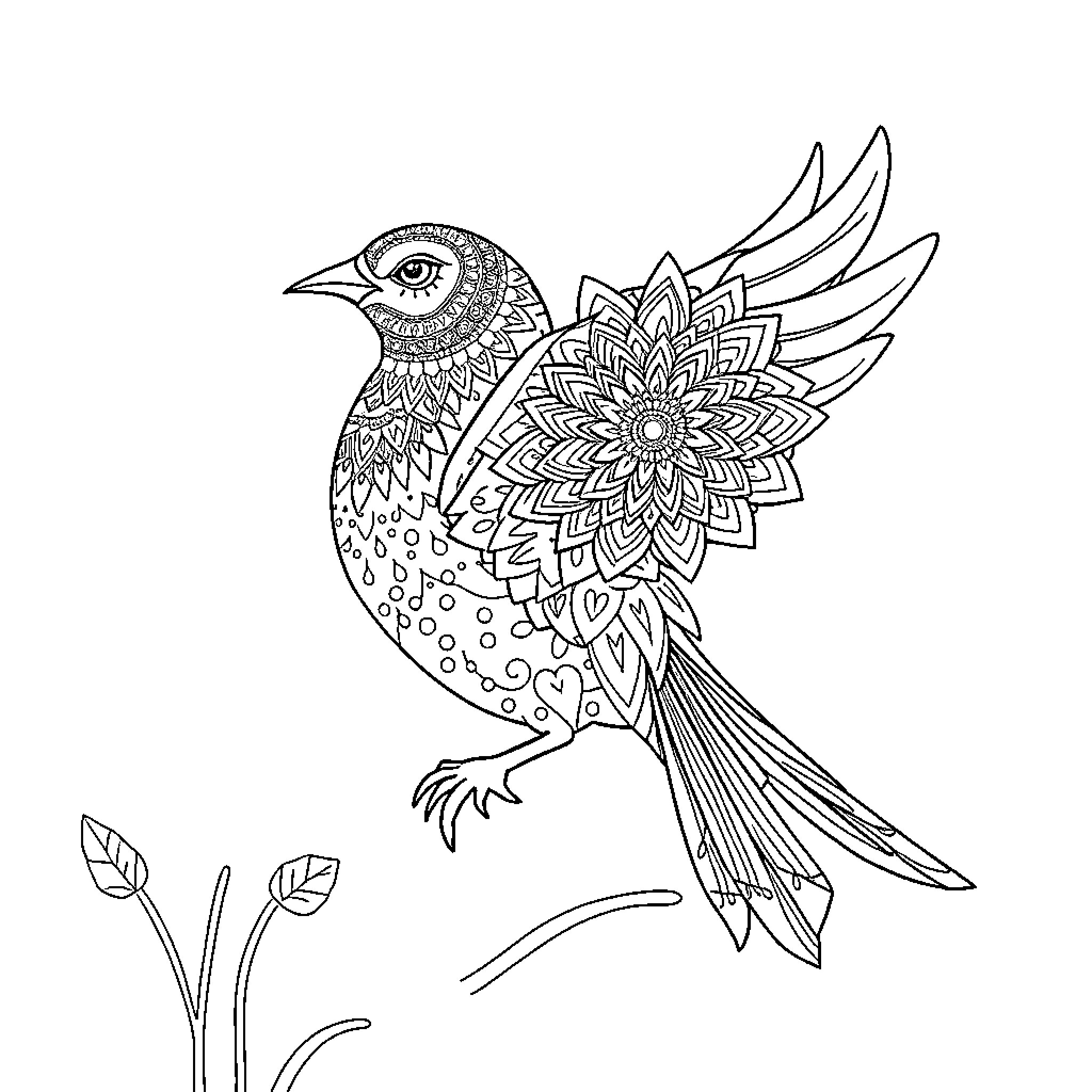 Fighter Jet with Intricate Mandala-Inspired Design Coloring Page (free black-and-white line drawing printable PDF for all, from beginners to advanced learners, including children, teens, adults, and seniors)