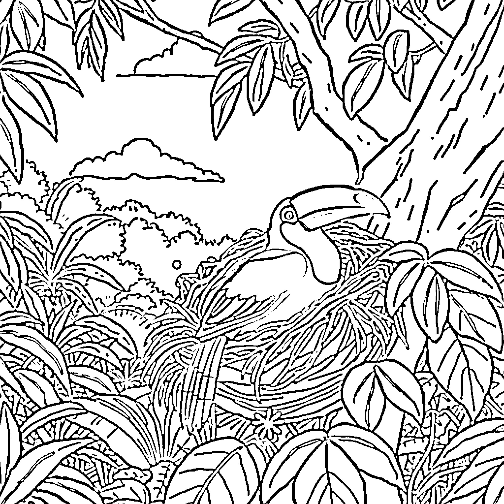 Toucan perched amidst lush tropical foliage Coloring Page (free black-and-white line drawing printable PDF for all, from beginners to advanced learners, including children, teens, adults, and seniors)