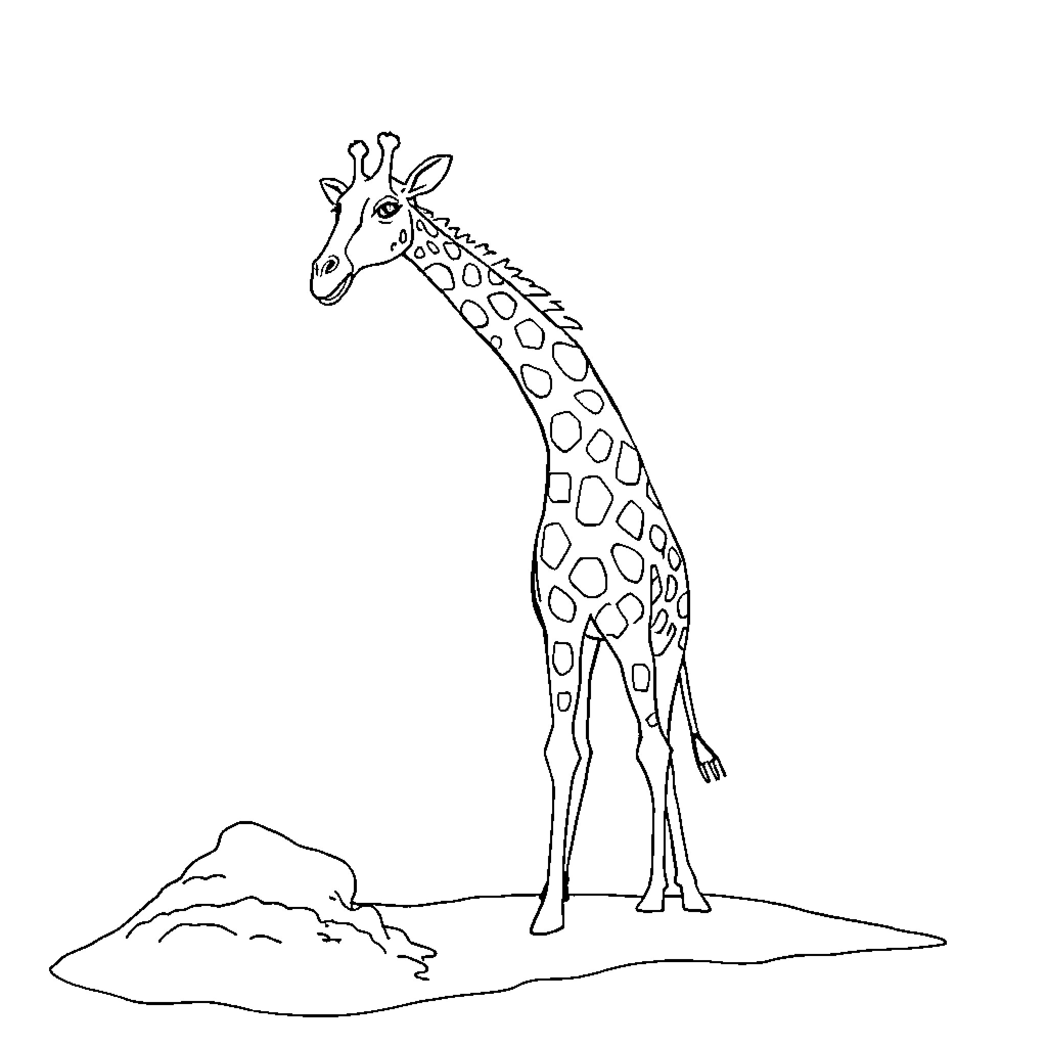 Giraffe standing tall in a simple landscape Coloring Page (free black-and-white line drawing printable PDF for all, from beginners to advanced learners, including children, teens, adults, and seniors)