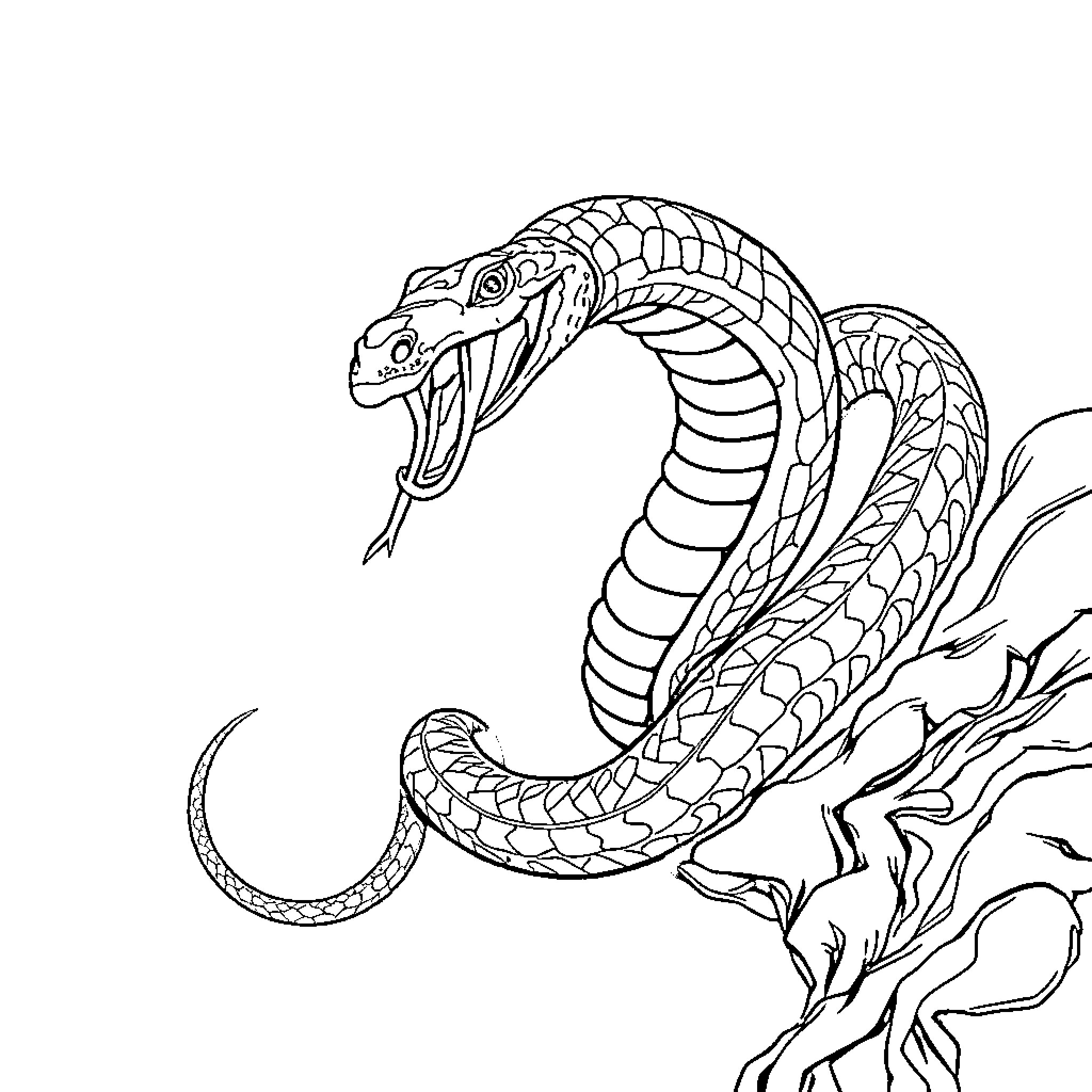 Serpent unleashing its fierce power Coloring Page (free black-and-white line drawing printable PDF for all, from beginners to advanced learners, including children, teens, adults, and seniors)