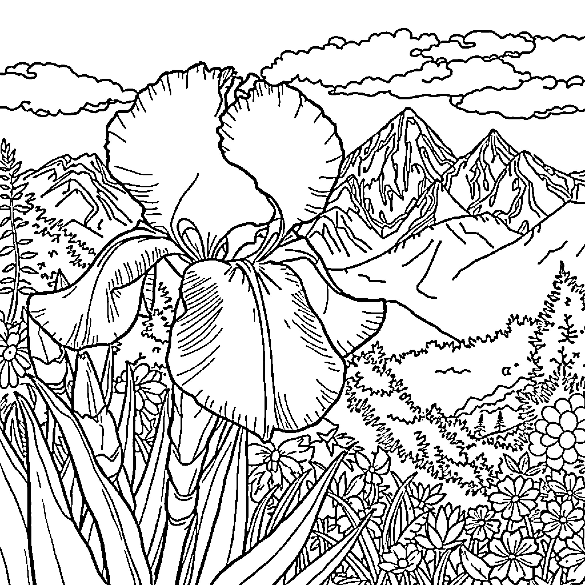 Iris Blooming in a Mountainous Landscape Coloring Page (free black-and-white line drawing printable PDF for all, from beginners to advanced learners, including children, teens, adults, and seniors)
