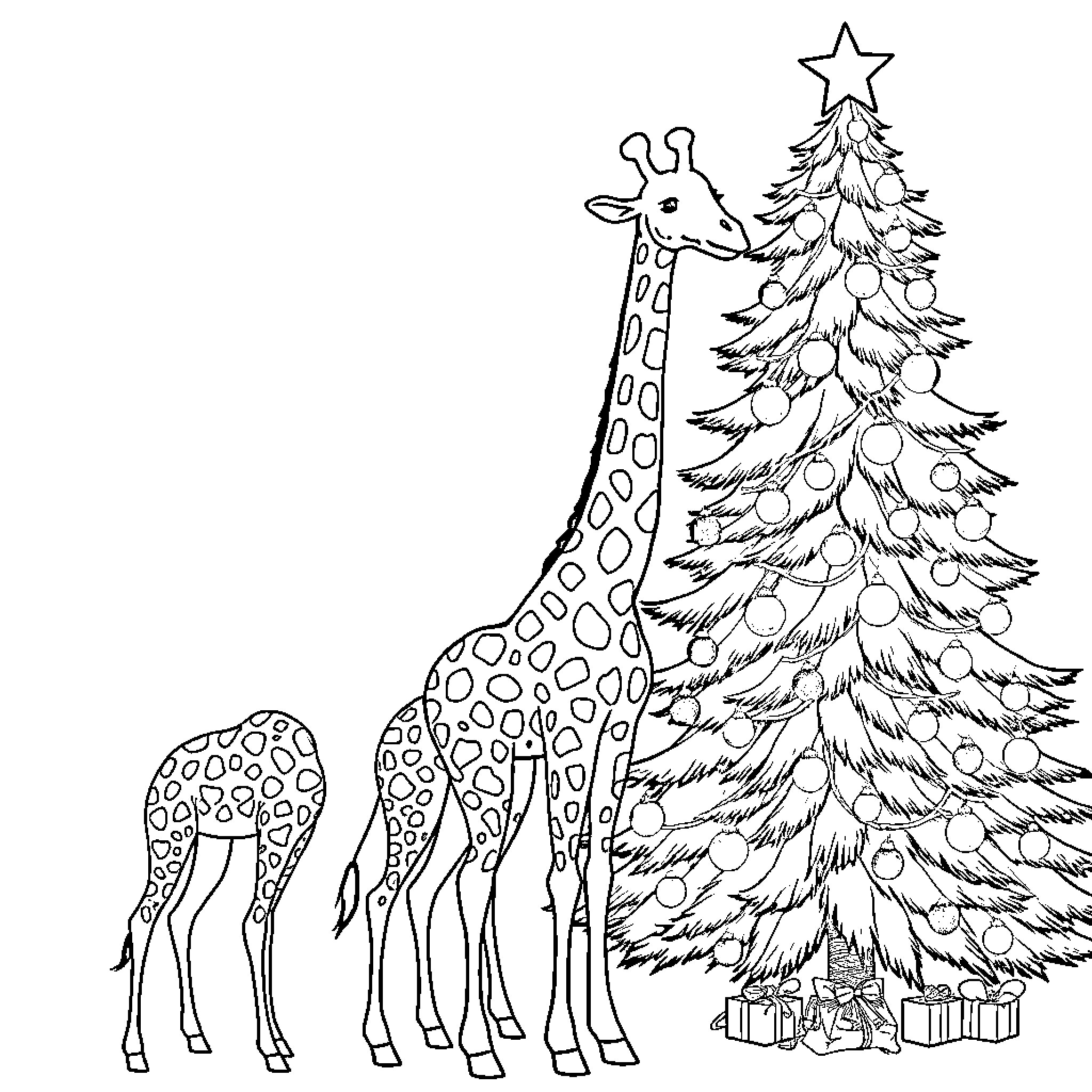 Giraffe admiring the Christmas tree with gifts Coloring Page (free black-and-white line drawing printable PDF for all, from beginners to advanced learners, including children, teens, adults, and seniors)