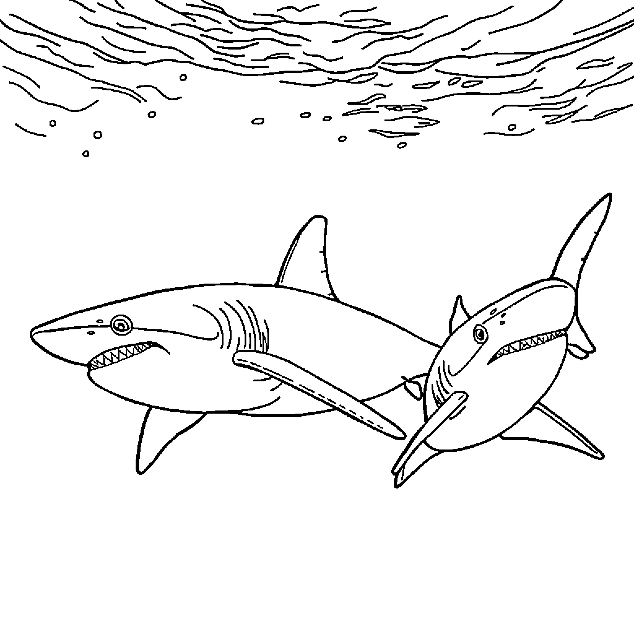 Shark duo swimming through the waves Coloring Page (free black-and-white line drawing printable PDF for all, from beginners to advanced learners, including children, teens, adults, and seniors)