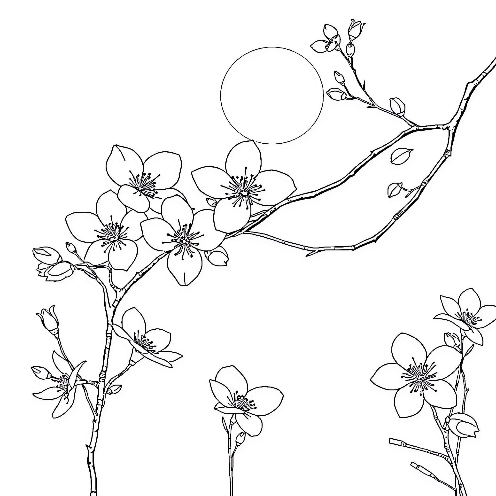 Sakura blossoms in moonlight Coloring Page (free black-and-white line drawing printable PDF for all, from beginners to advanced learners, including children, teens, adults, and seniors)