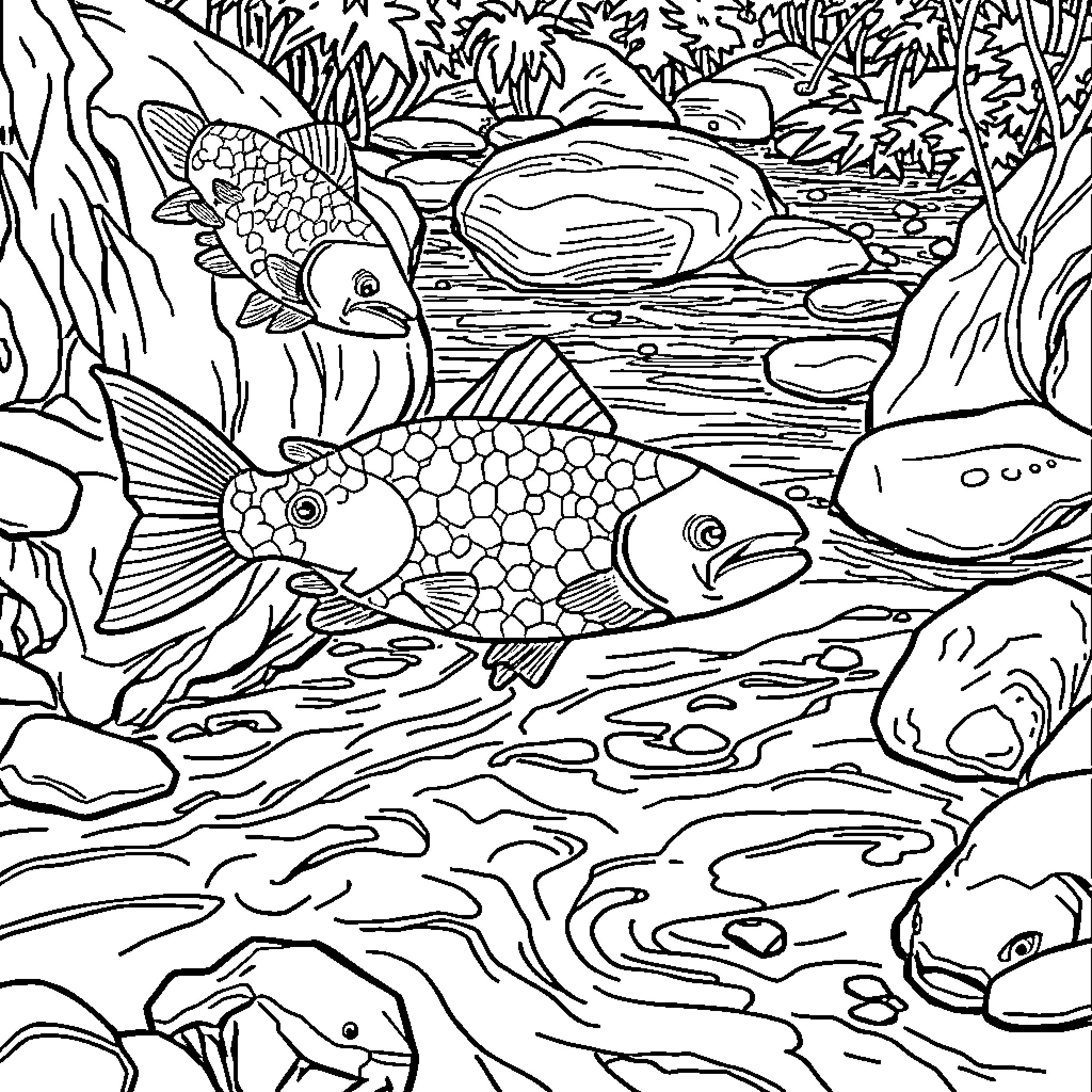 Fish swimming in the underwater river Coloring Page (free black-and-white line drawing printable PDF for all, from beginners to advanced learners, including children, teens, adults, and seniors)