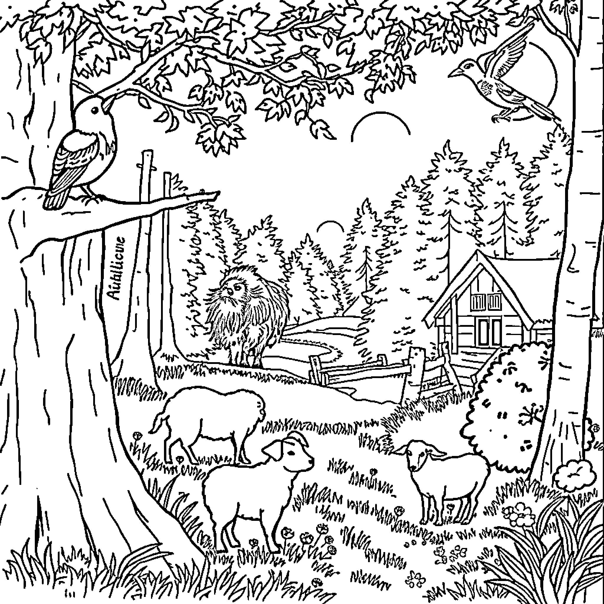 Forest Animal Scenes with Cabin and Wildlife Coloring Page (free black-and-white line drawing printable PDF for all, from beginners to advanced learners, including children, teens, adults, and seniors)