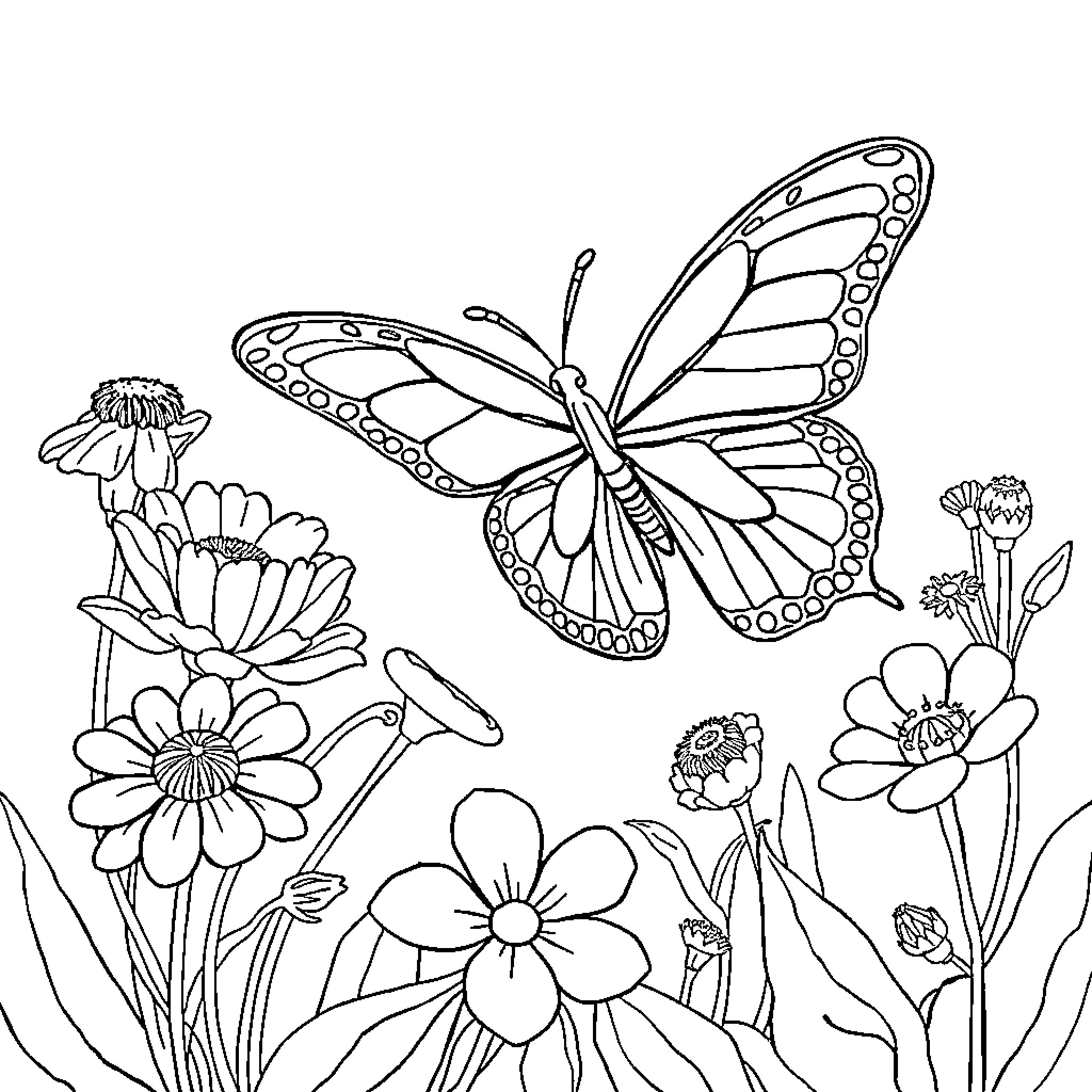 Butterfly flying amidst vibrant flowers Coloring Page (free black-and-white line drawing printable PDF for all, from beginners to advanced learners, including children, teens, adults, and seniors)