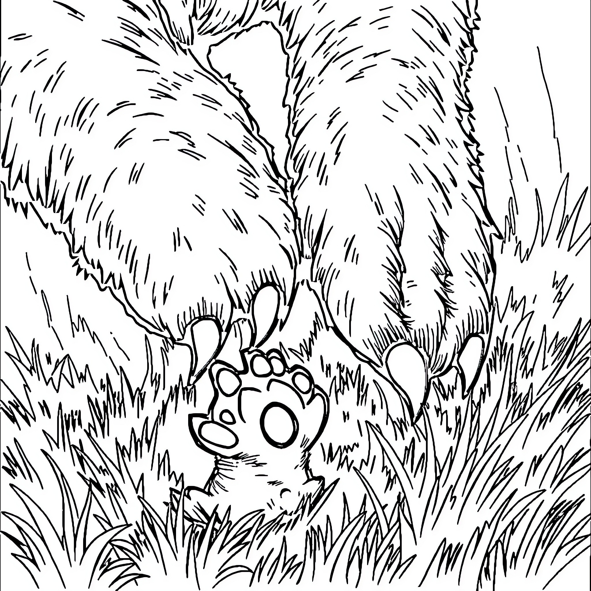 Paw prints in the undergrowth Coloring Page (free black-and-white line drawing printable PDF for all, from beginners to advanced learners, including children, teens, adults, and seniors)
