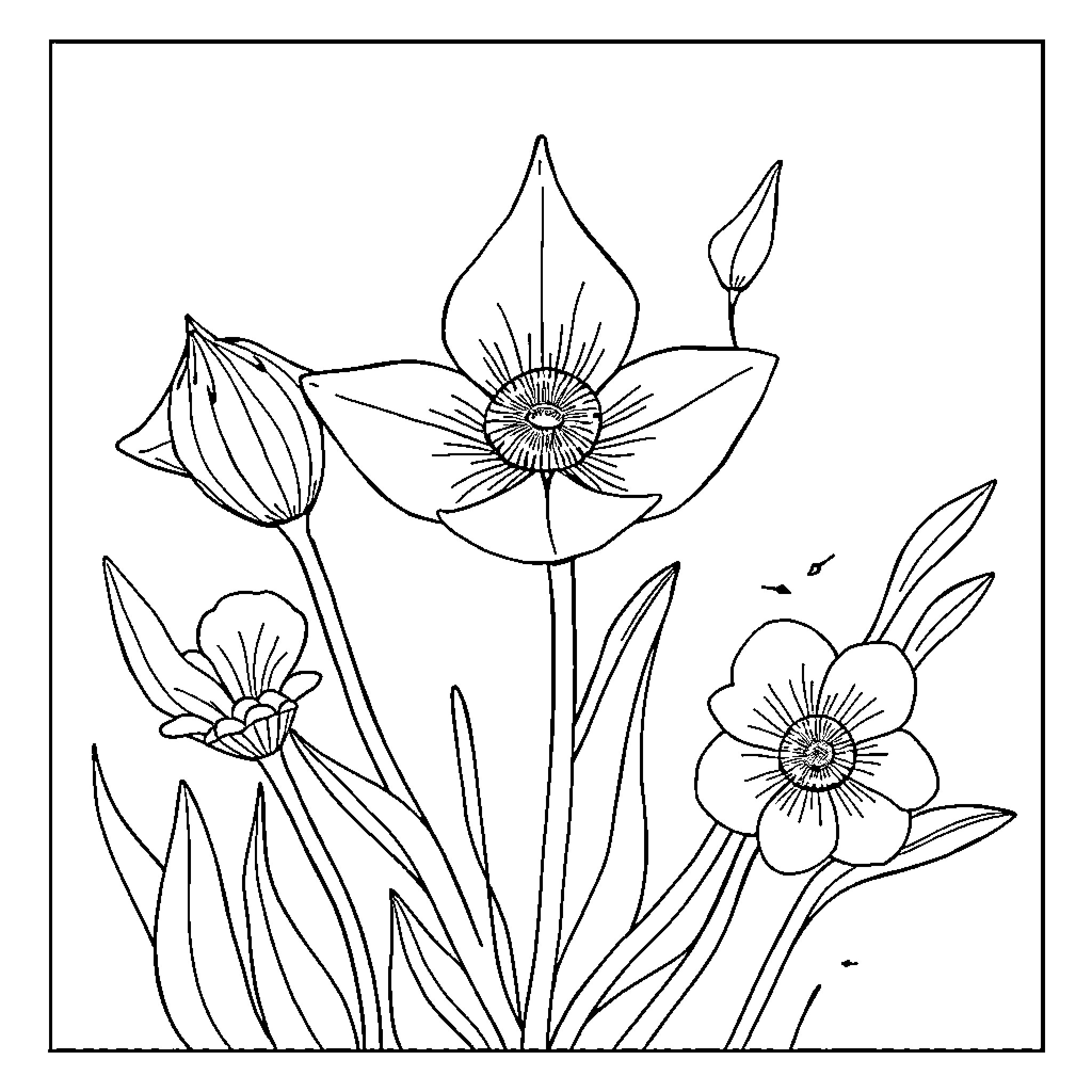 Book of Elegant Floral Drawings Coloring Page (free black-and-white line drawing printable PDF for all, from beginners to advanced learners, including children, teens, adults, and seniors)