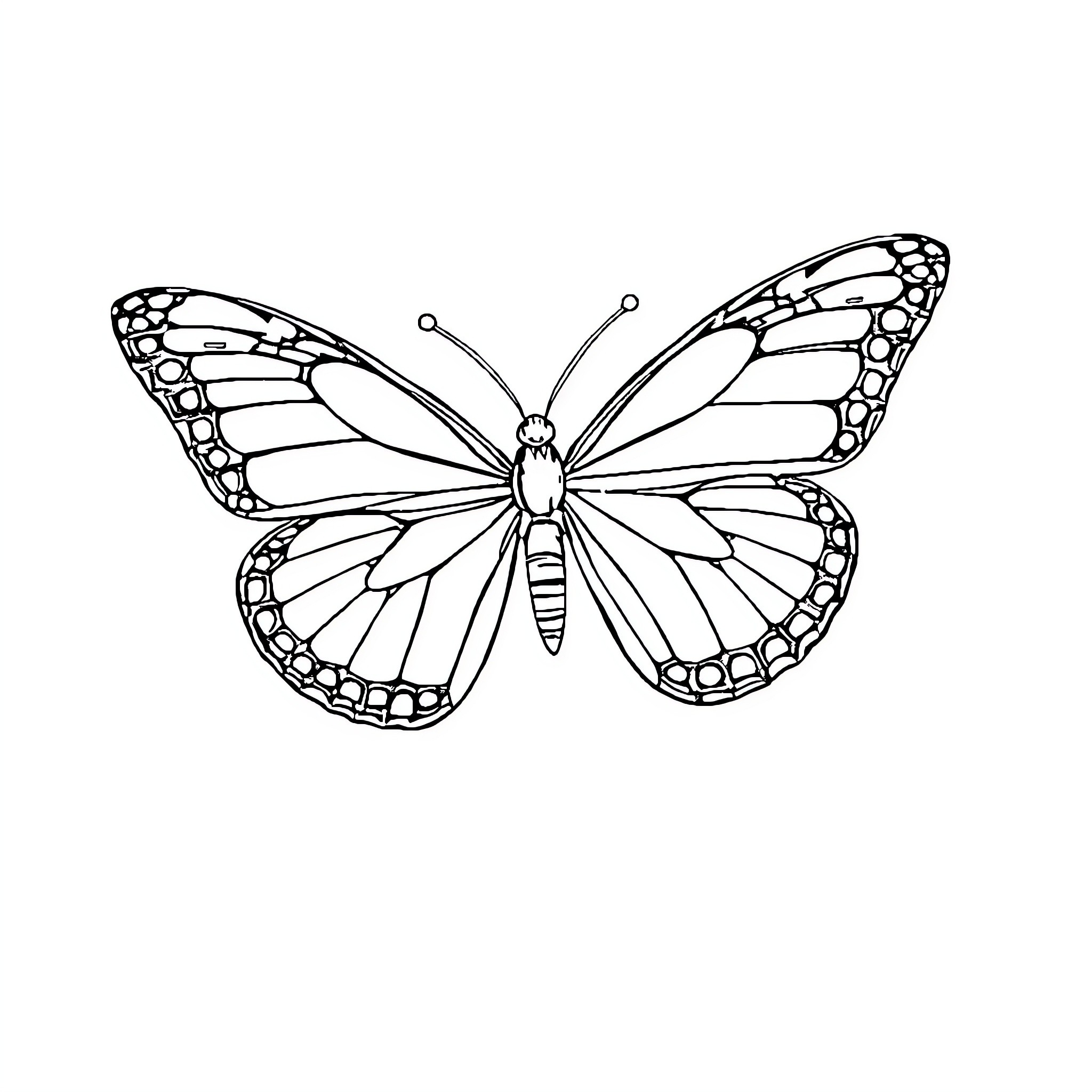 Butterfly with detailed wings Coloring Page (free black-and-white line drawing printable PDF for all, from beginners to advanced learners, including children, teens, adults, and seniors)