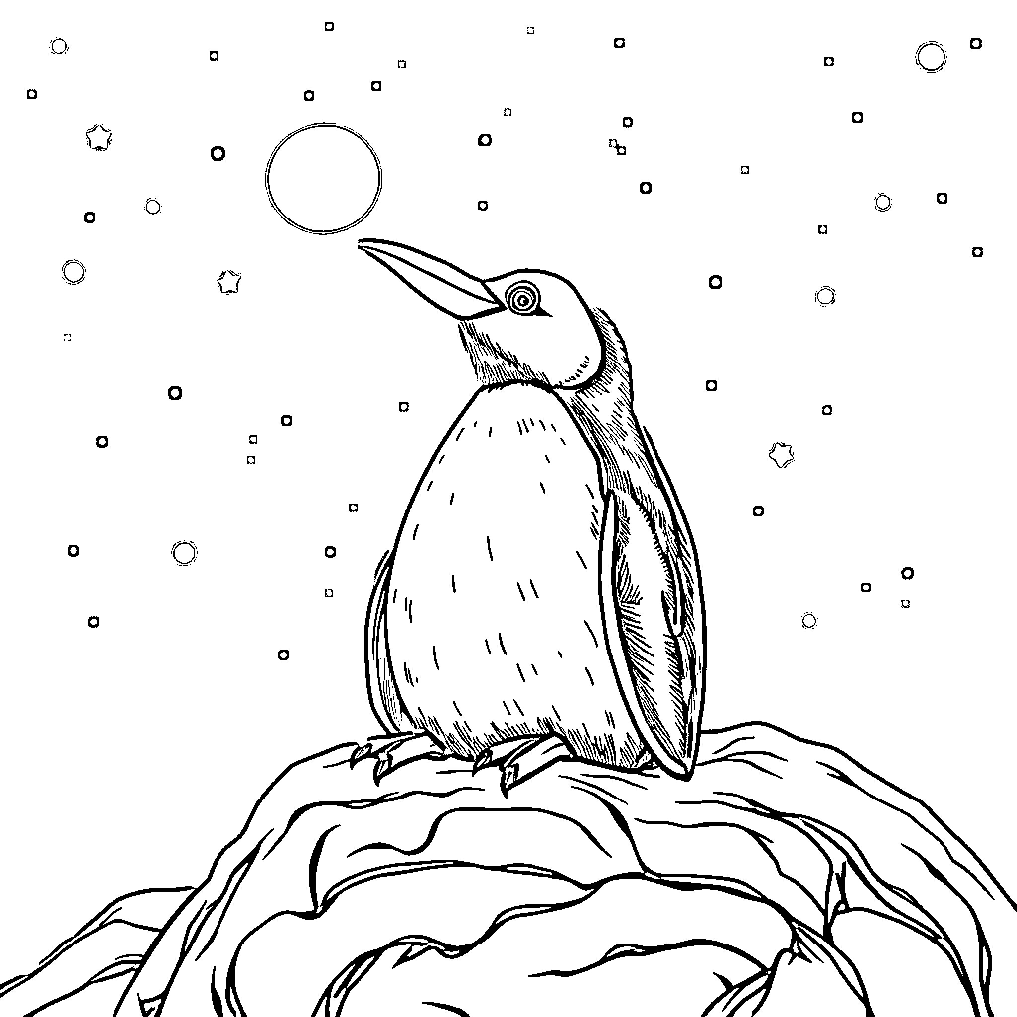 Penguin gazing at the starry night Coloring Page (free black-and-white line drawing printable PDF for all, from beginners to advanced learners, including children, teens, adults, and seniors)