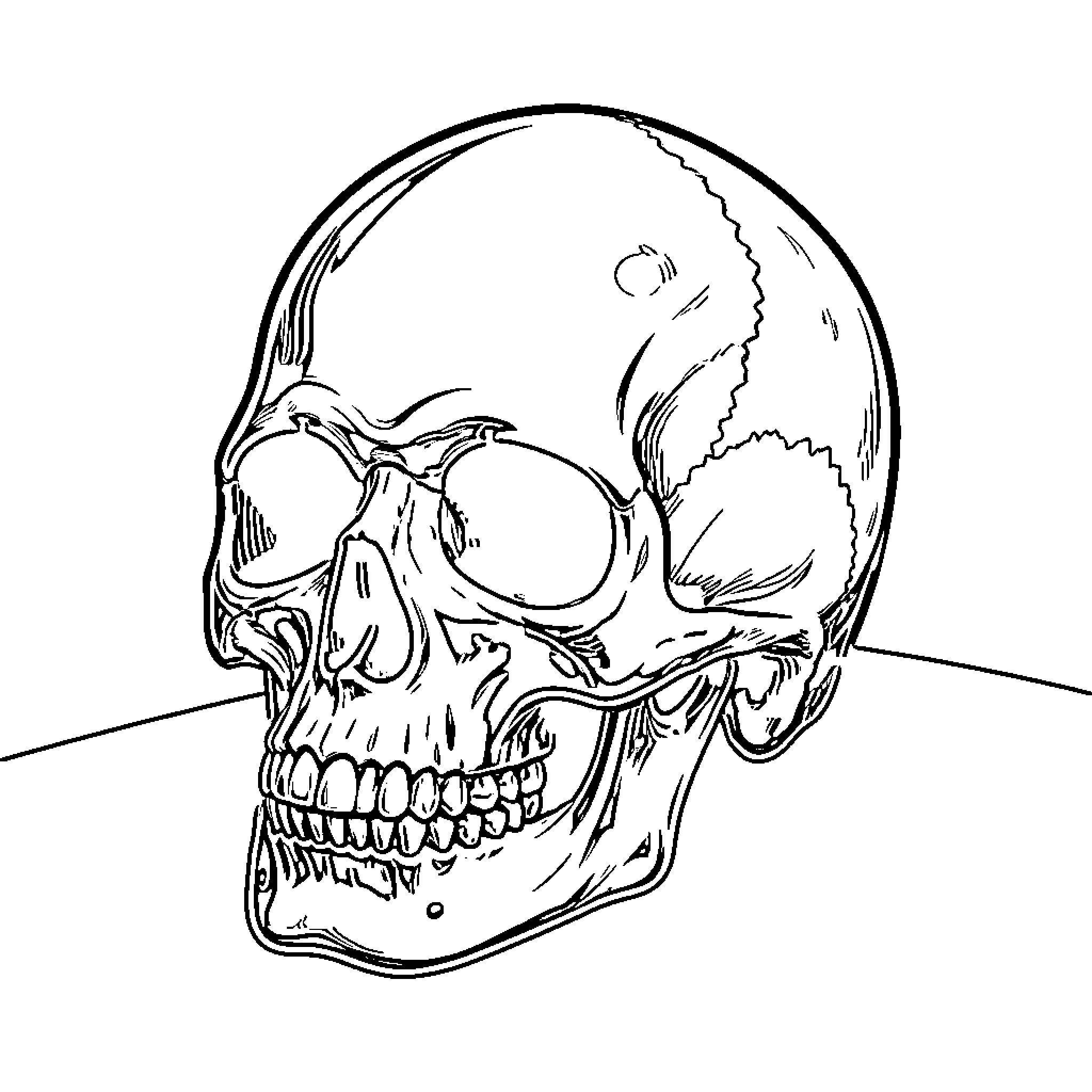 Skull resting on a flat surface Coloring Page (free black-and-white line drawing printable PDF for all, from beginners to advanced learners, including children, teens, adults, and seniors)