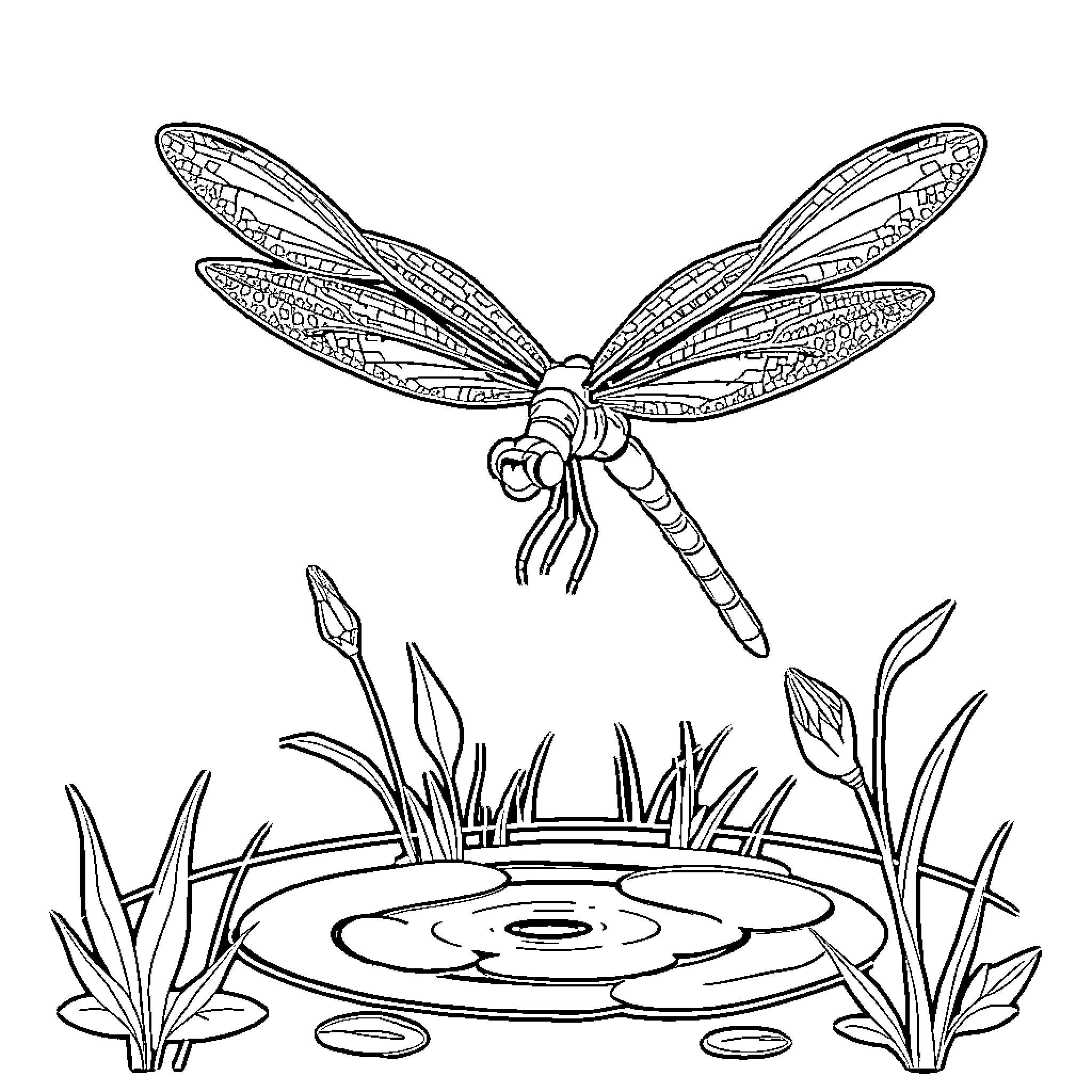 Dragonfly hovering above a tranquil pond Coloring Page (free black-and-white line drawing printable PDF for all, from beginners to advanced learners, including children, teens, adults, and seniors)
