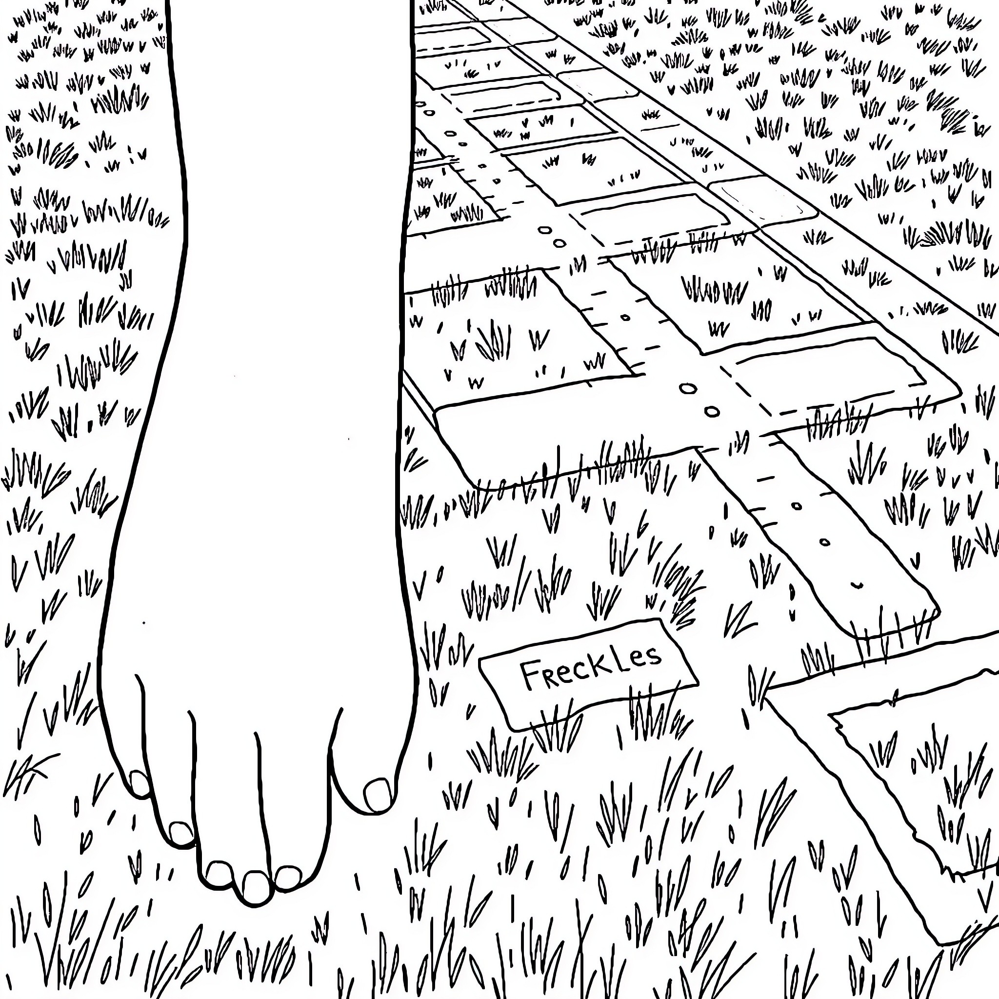 Freckles on the path through the wilderness Coloring Page (free black-and-white line drawing printable PDF for all, from beginners to advanced learners, including children, teens, adults, and seniors)