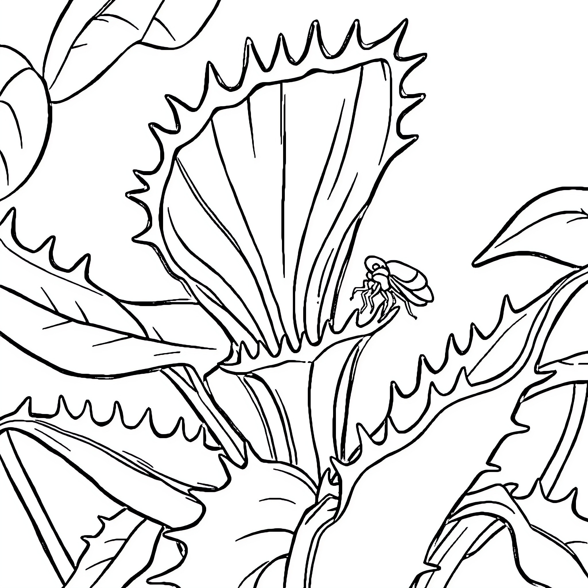 Venus Fly Trap capturing an insect in its jaws Coloring Page (free black-and-white line drawing printable PDF for all, from beginners to advanced learners, including children, teens, adults, and seniors)