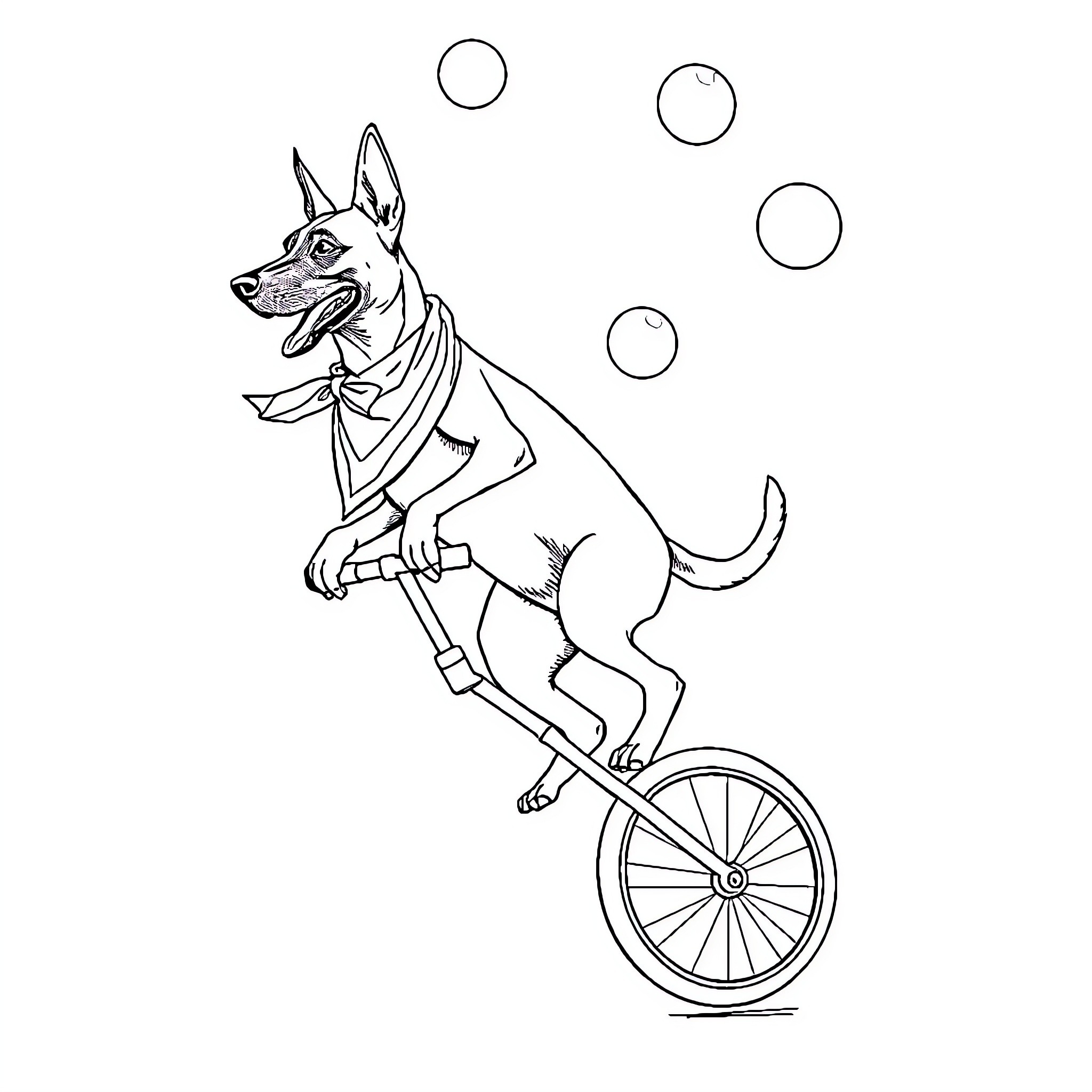 Belgian Malinois performing circus tricks on unicycle Coloring Page (free black-and-white line drawing printable PDF for all, from beginners to advanced learners, including children, teens, adults, and seniors)