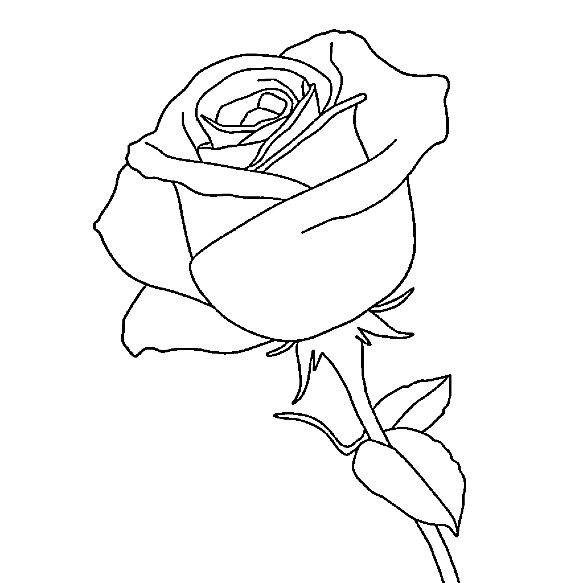 Rose in Elegant Outline Coloring Page (free black-and-white line drawing printable PDF for all, from beginners to advanced learners, including children, teens, adults, and seniors)