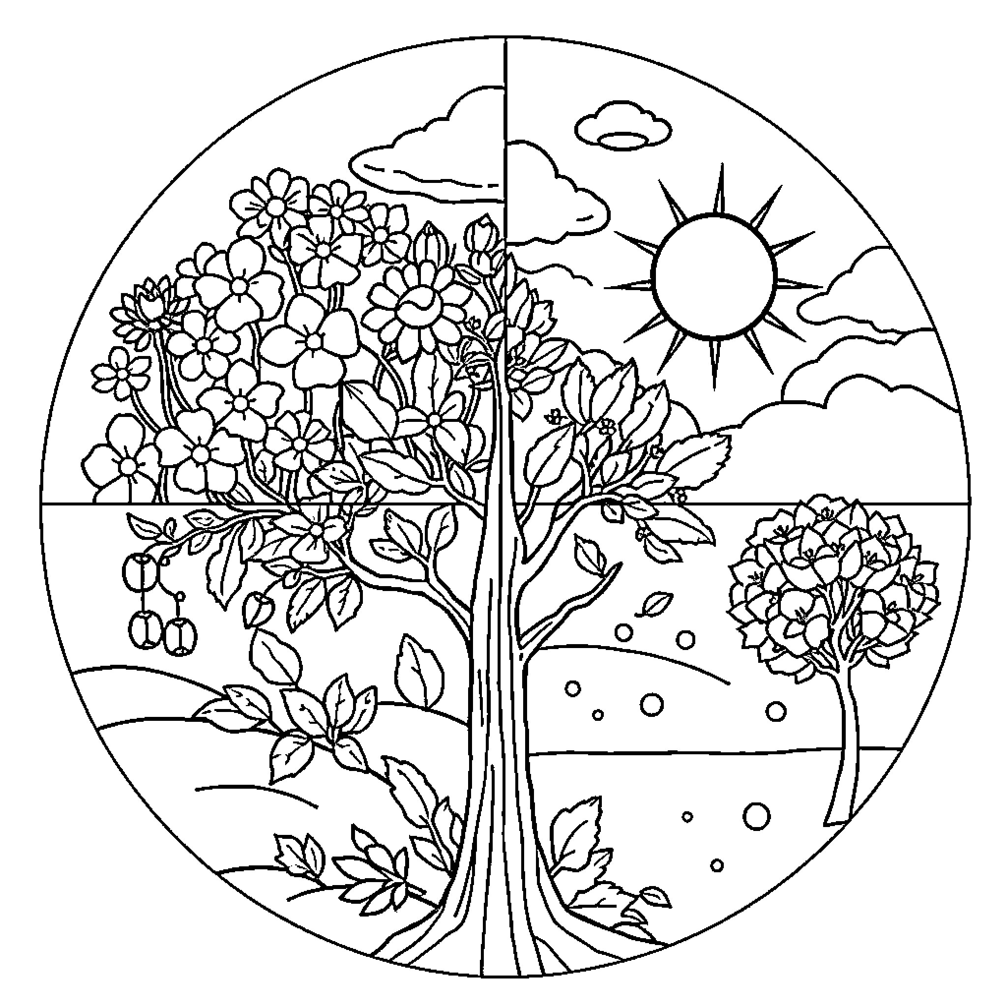 Season of Vibrant Blooms and Changing Landscapes Coloring Page (free black-and-white line drawing printable PDF for all, from beginners to advanced learners, including children, teens, adults, and seniors)