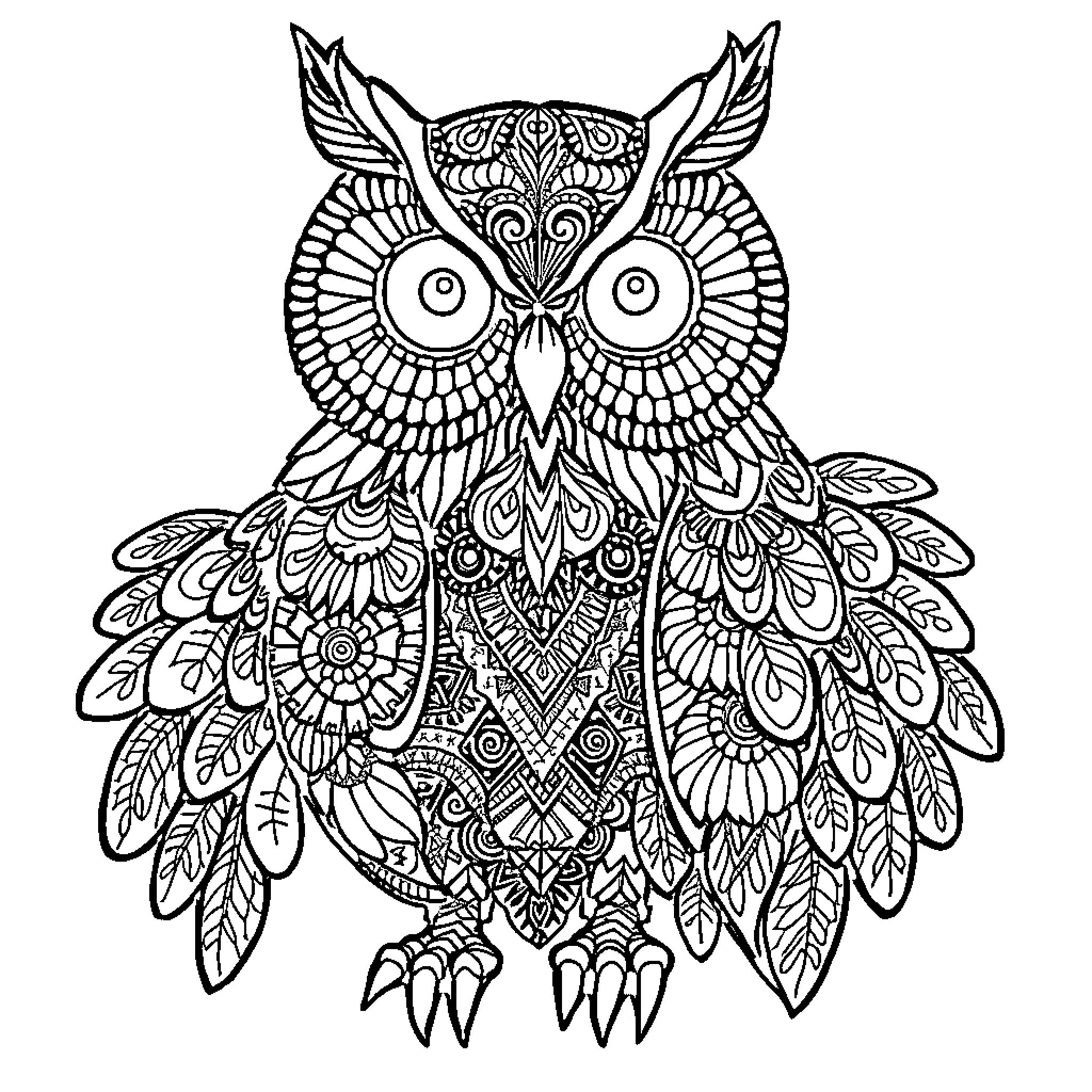 Owl with intricate floral and geometric patterns Coloring Page (free black-and-white line drawing printable PDF for all, from beginners to advanced learners, including children, teens, adults, and seniors)