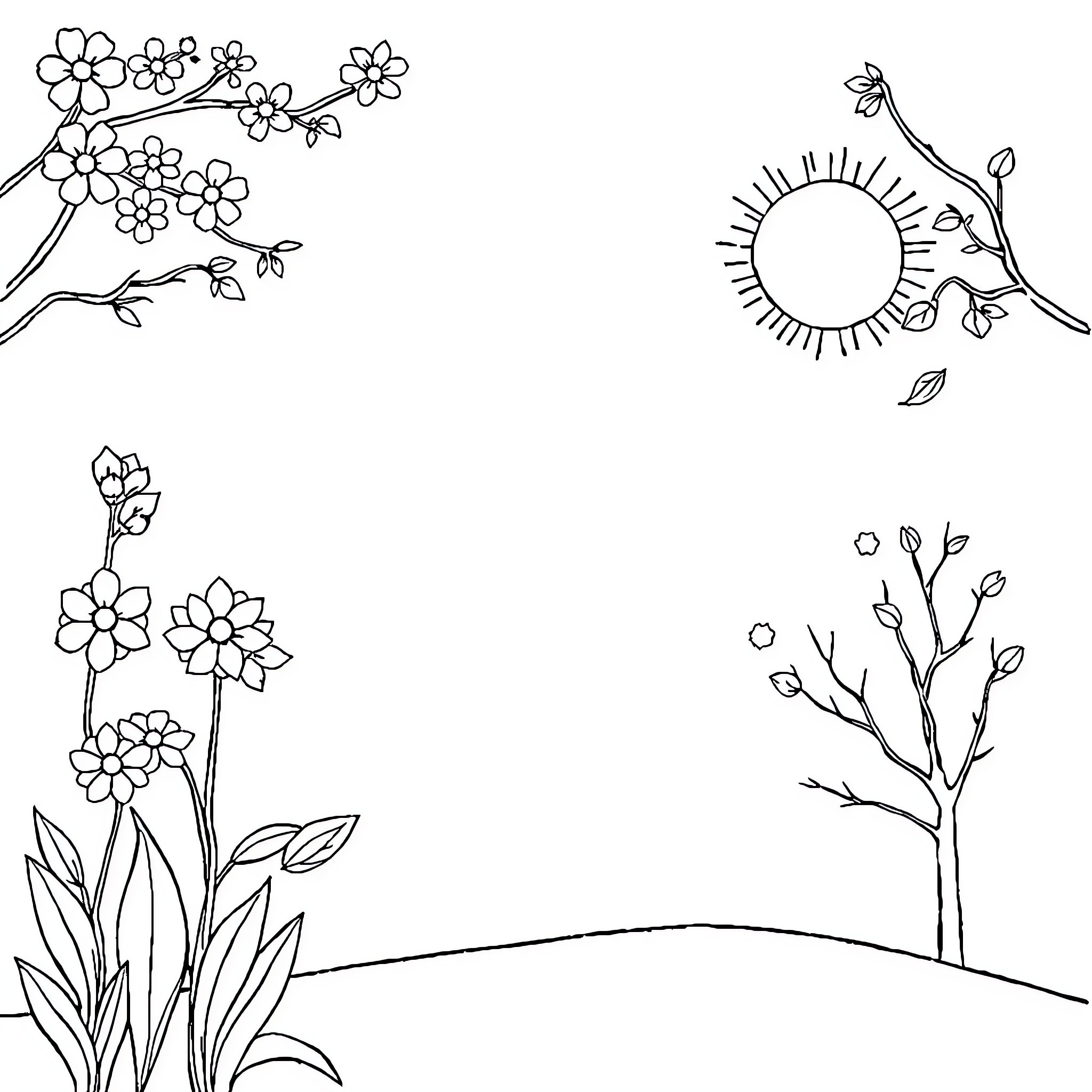 Season of Blooming Flowers and Sunlight Coloring Page (free black-and-white line drawing printable PDF for all, from beginners to advanced learners, including children, teens, adults, and seniors)
