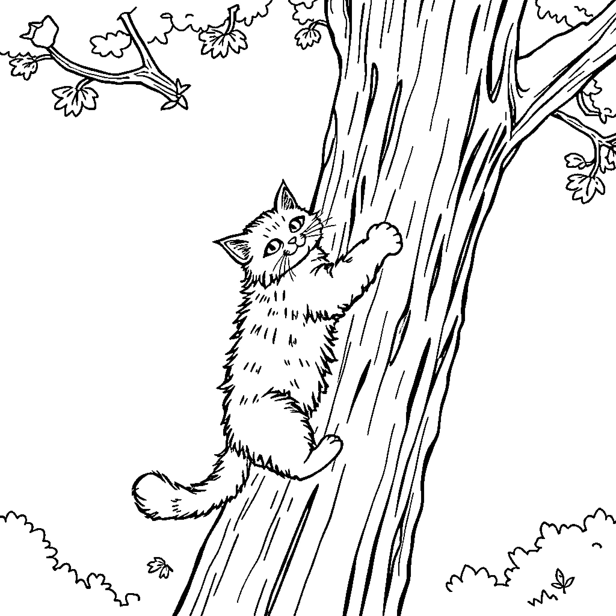 Cat climbing up a tree trunk Coloring Page (free black-and-white line drawing printable PDF for all, from beginners to advanced learners, including children, teens, adults, and seniors)