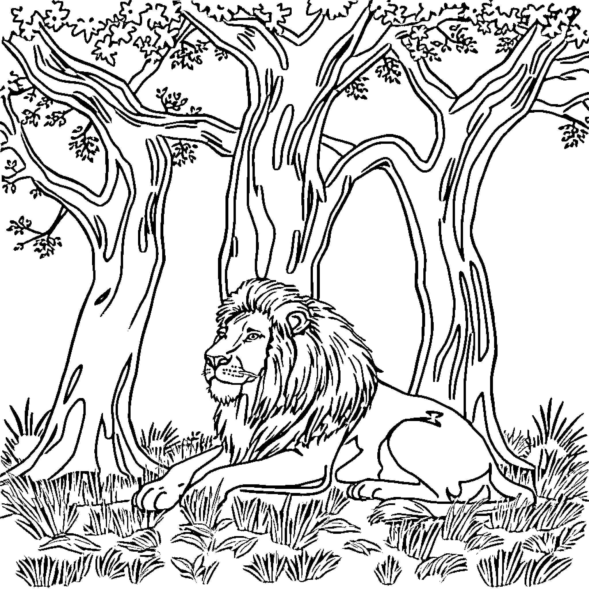 Lion resting peacefully in the lush forest Coloring Page (free black-and-white line drawing printable PDF for all, from beginners to advanced learners, including children, teens, adults, and seniors)