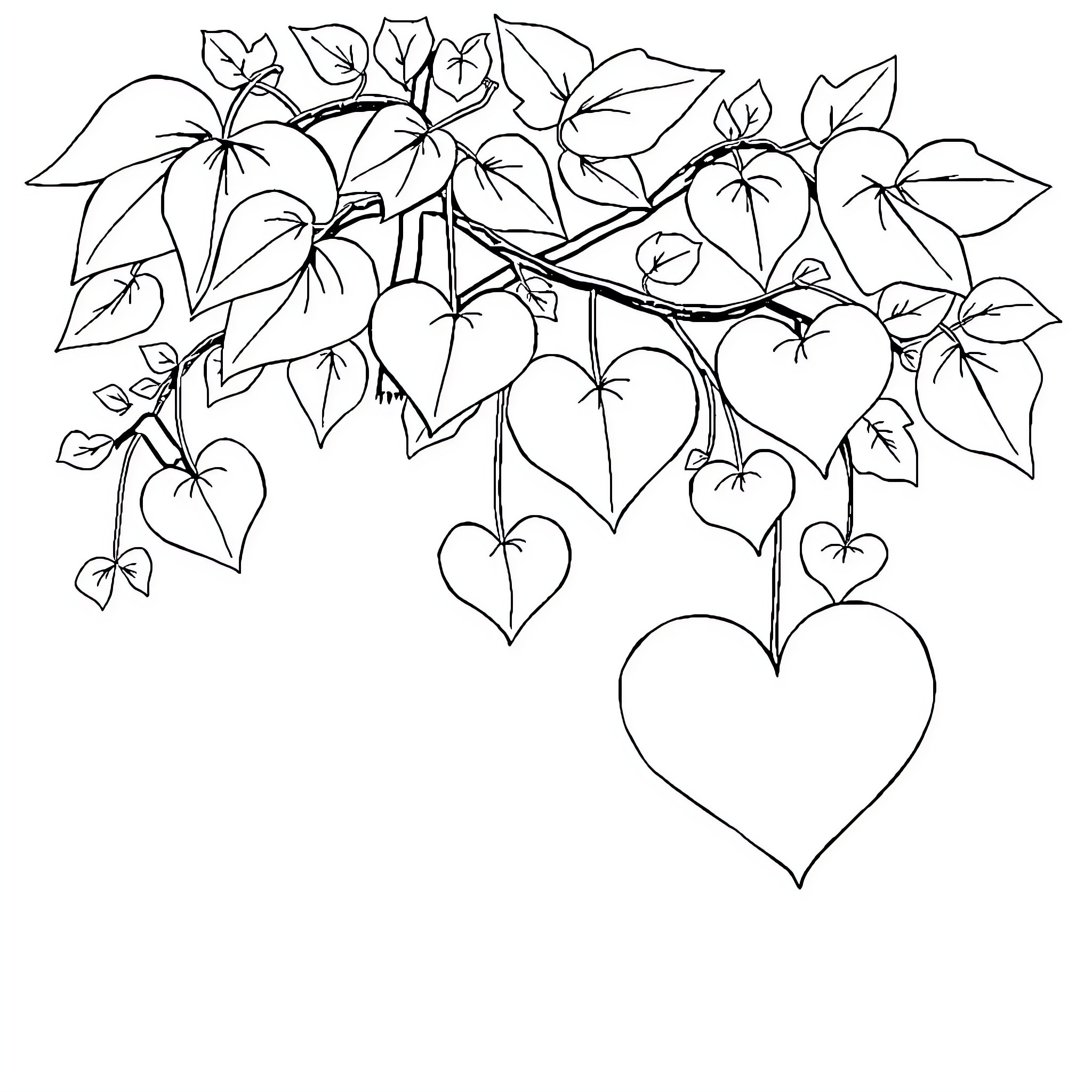 Heart-shaped leaves and blossoms on branches Coloring Page (free black-and-white line drawing printable PDF for all, from beginners to advanced learners, including children, teens, adults, and seniors)