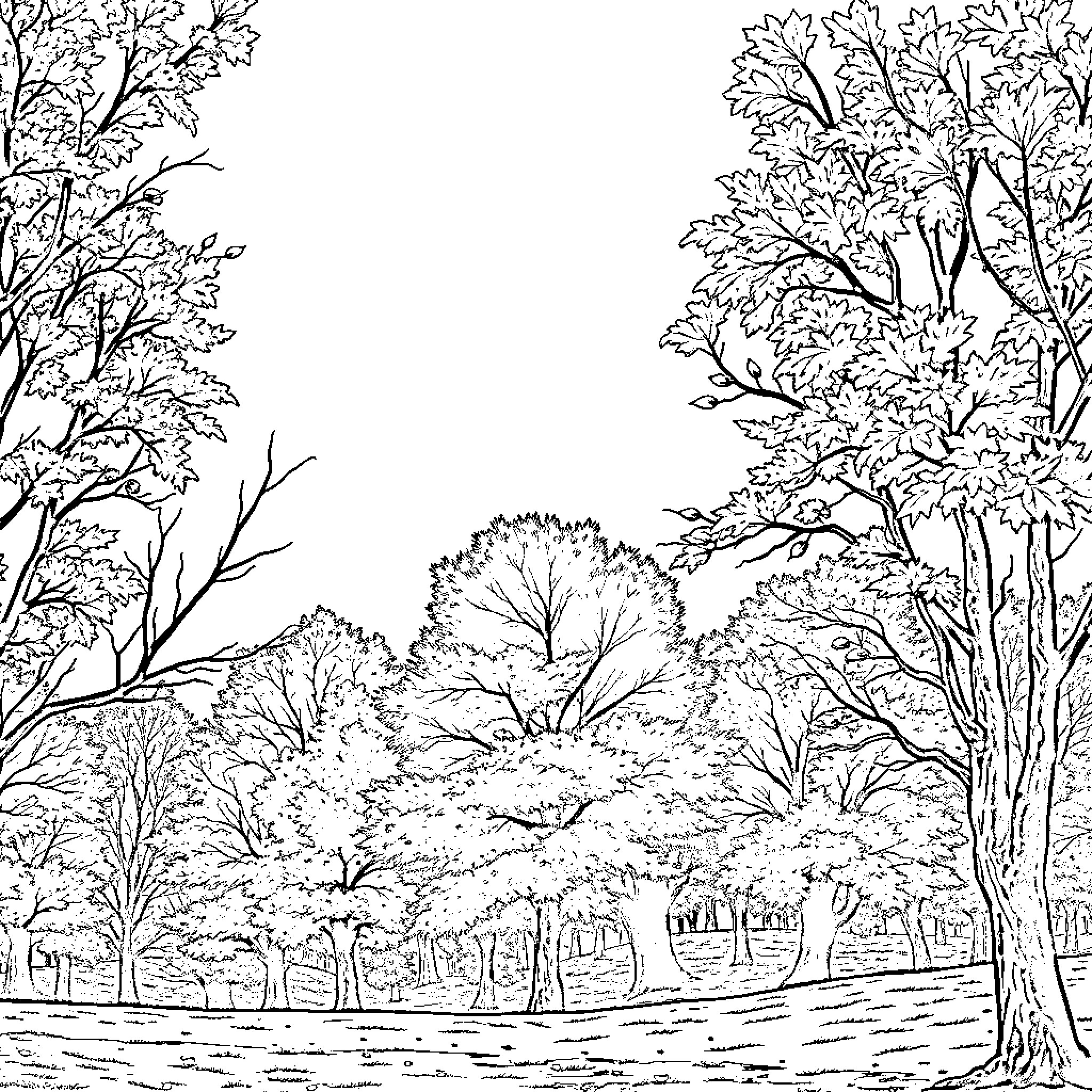 Fall foliage scenery with lush trees Coloring Page (free black-and-white line drawing printable PDF for all, from beginners to advanced learners, including children, teens, adults, and seniors)