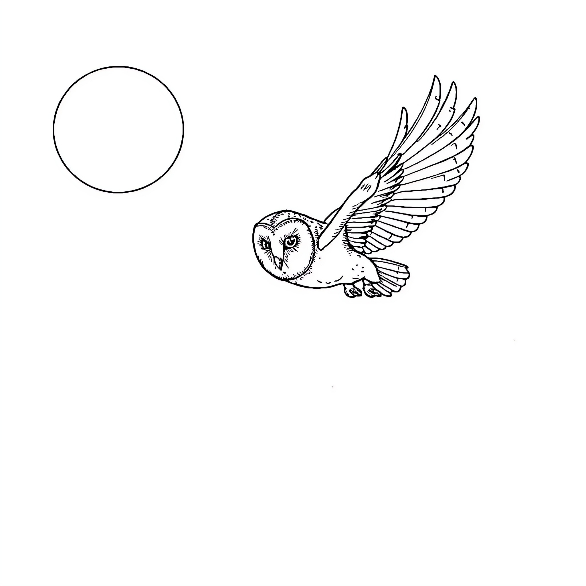 Owl soaring gracefully in the moonlight Coloring Page (free black-and-white line drawing printable PDF for all, from beginners to advanced learners, including children, teens, adults, and seniors)