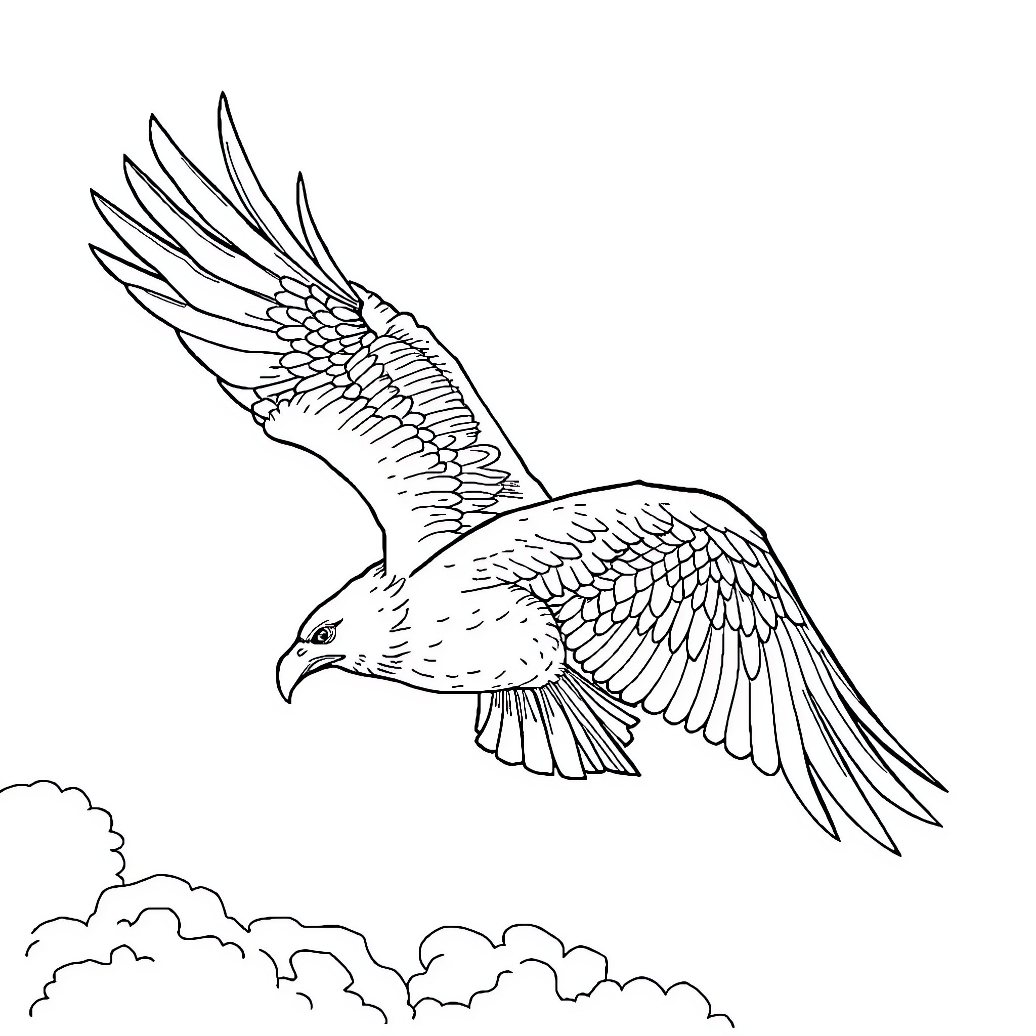 Eagle soaring majestically through the skies Coloring Page (free black-and-white line drawing printable PDF for all, from beginners to advanced learners, including children, teens, adults, and seniors)