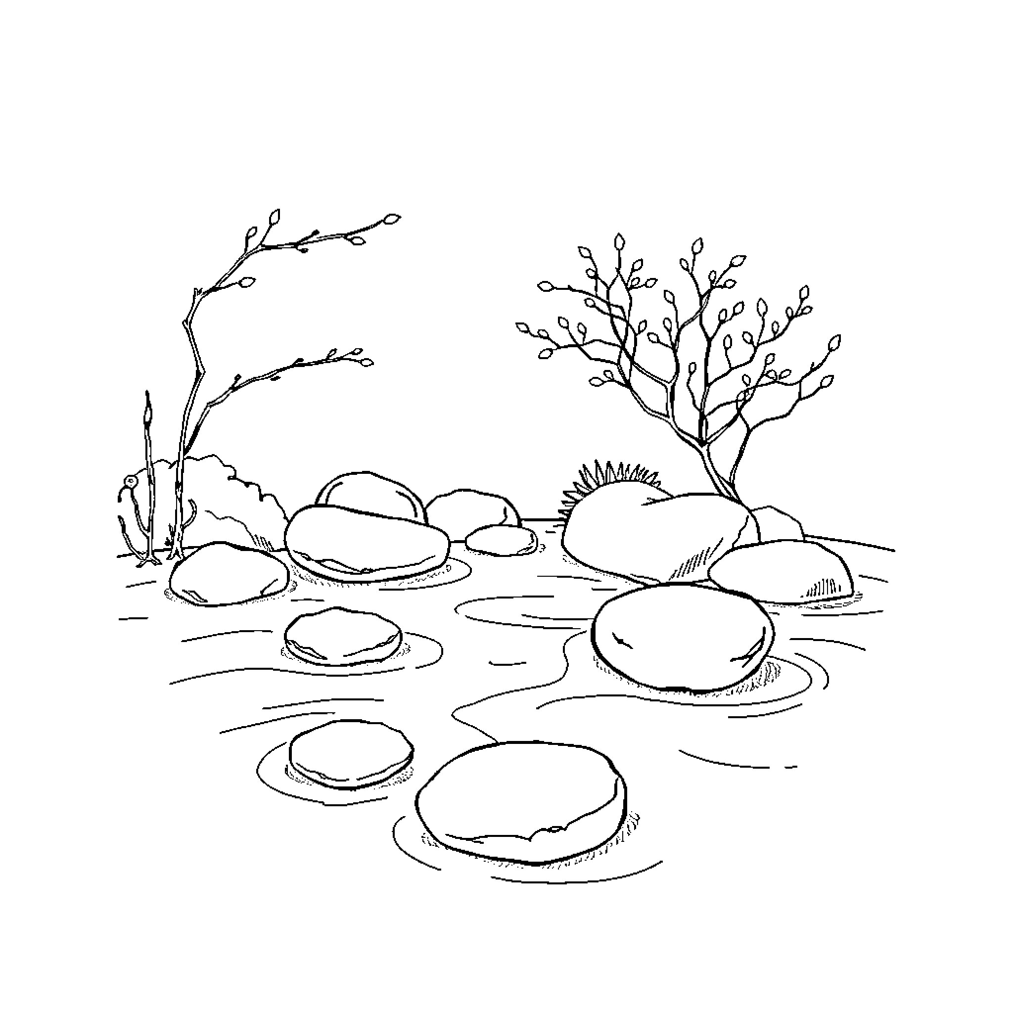 Zen Tranquil Landscape with Stones and Foliage Coloring Page (free black-and-white line drawing printable PDF for all, from beginners to advanced learners, including children, teens, adults, and seniors)
