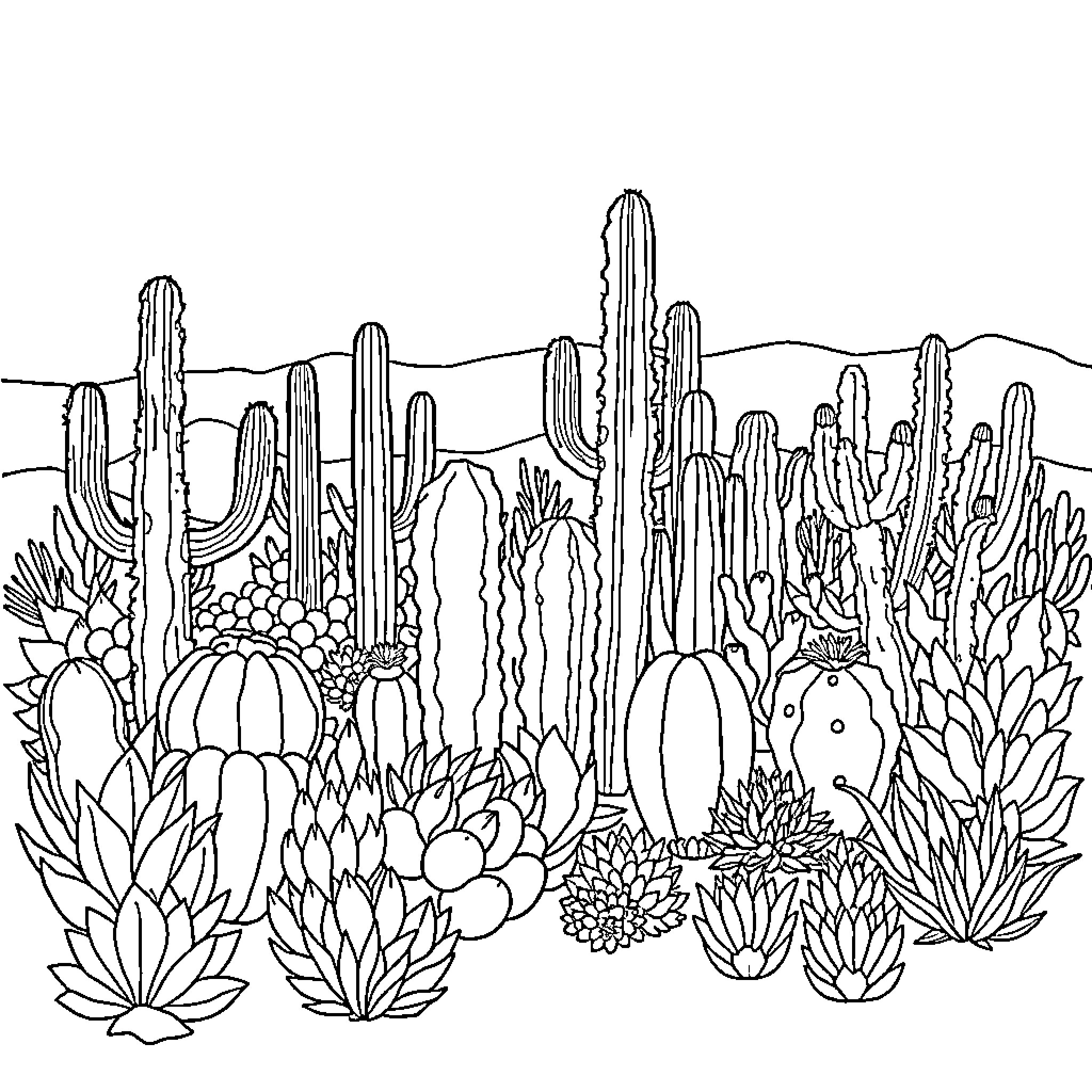 Cactus garden scene with various plant forms Coloring Page (free black-and-white line drawing printable PDF for all, from beginners to advanced learners, including children, teens, adults, and seniors)