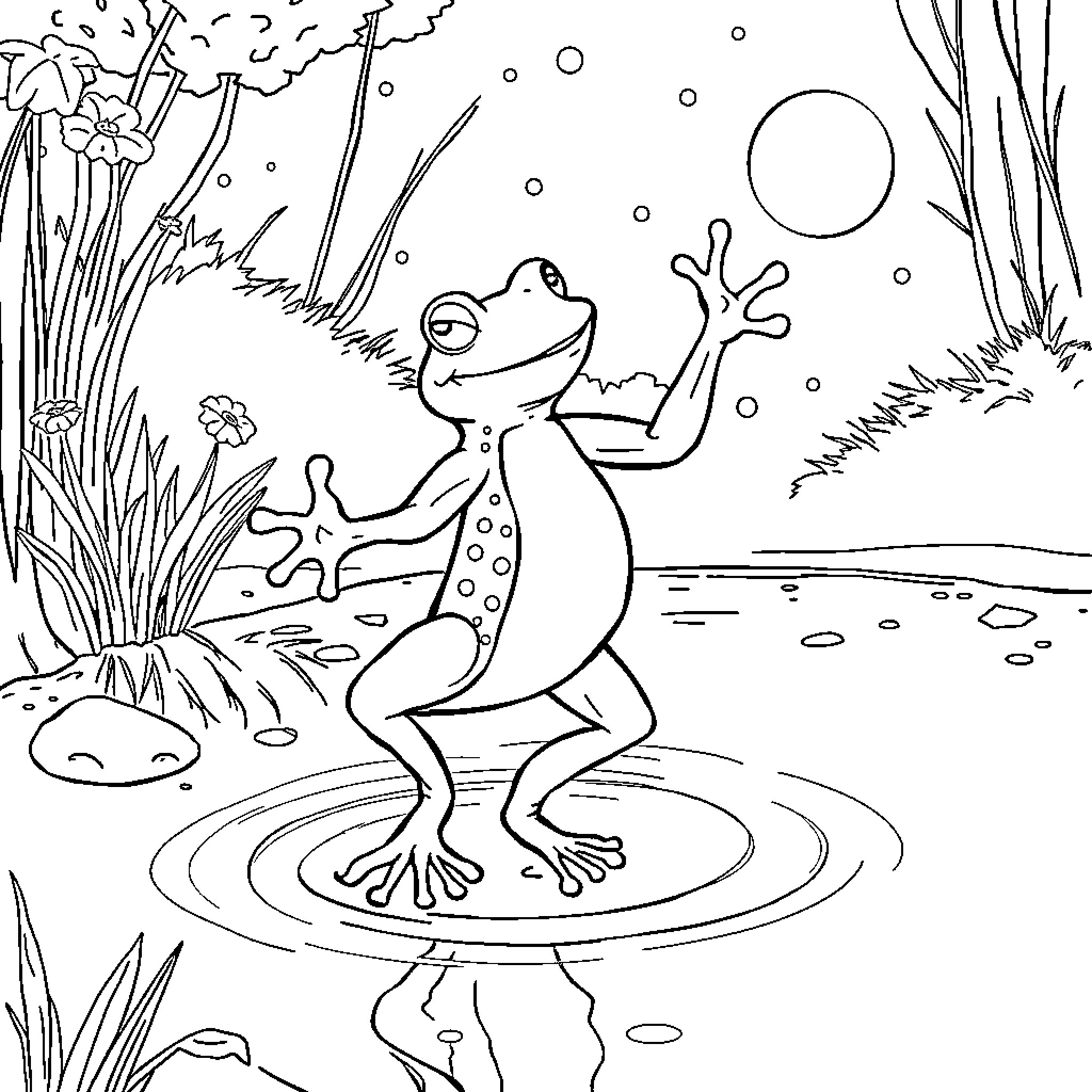 Frog splashing in a pond at night Coloring Page (free black-and-white line drawing printable PDF for all, from beginners to advanced learners, including children, teens, adults, and seniors)