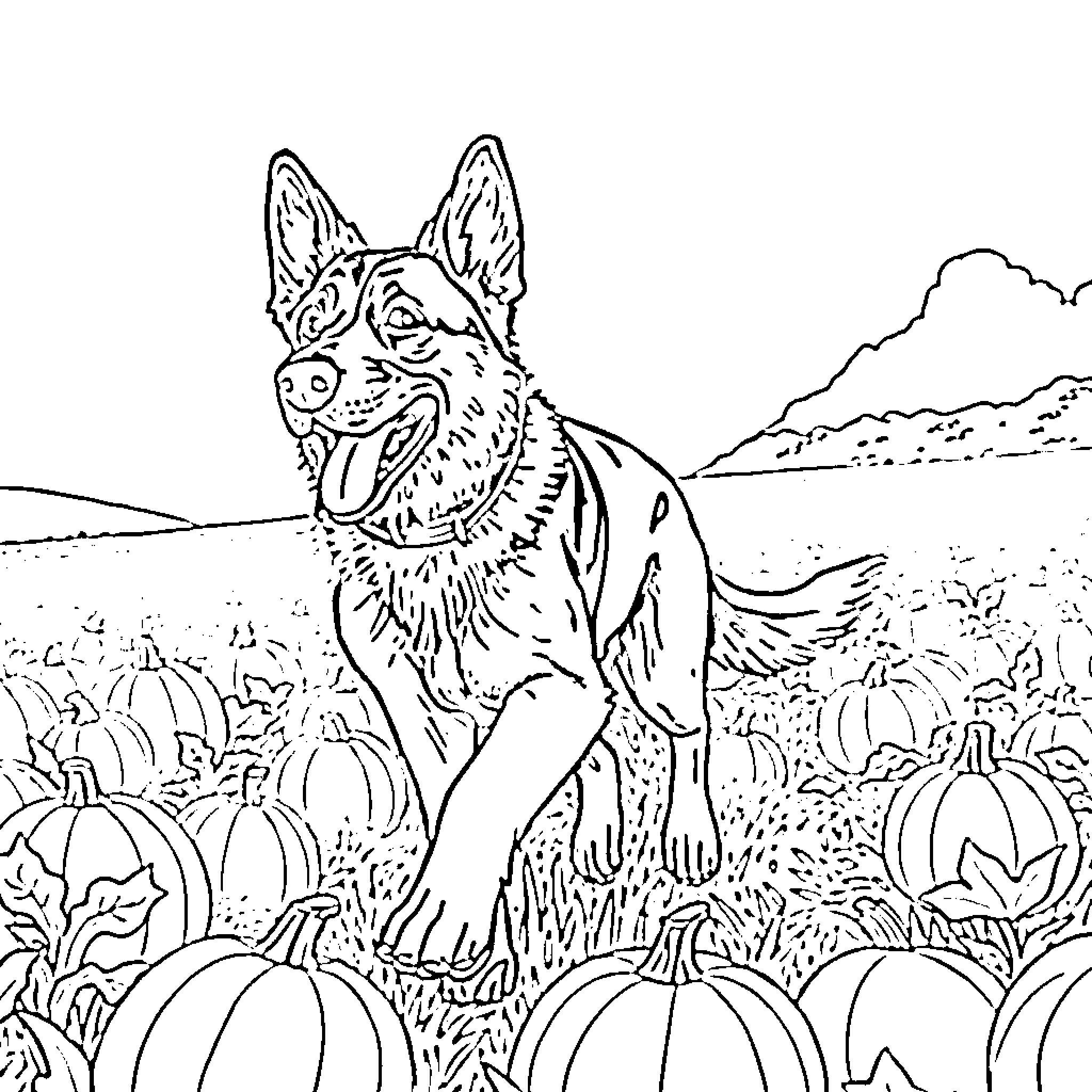 German Shepherd exploring pumpkin patch Coloring Page (free black-and-white line drawing printable PDF for all, from beginners to advanced learners, including children, teens, adults, and seniors)