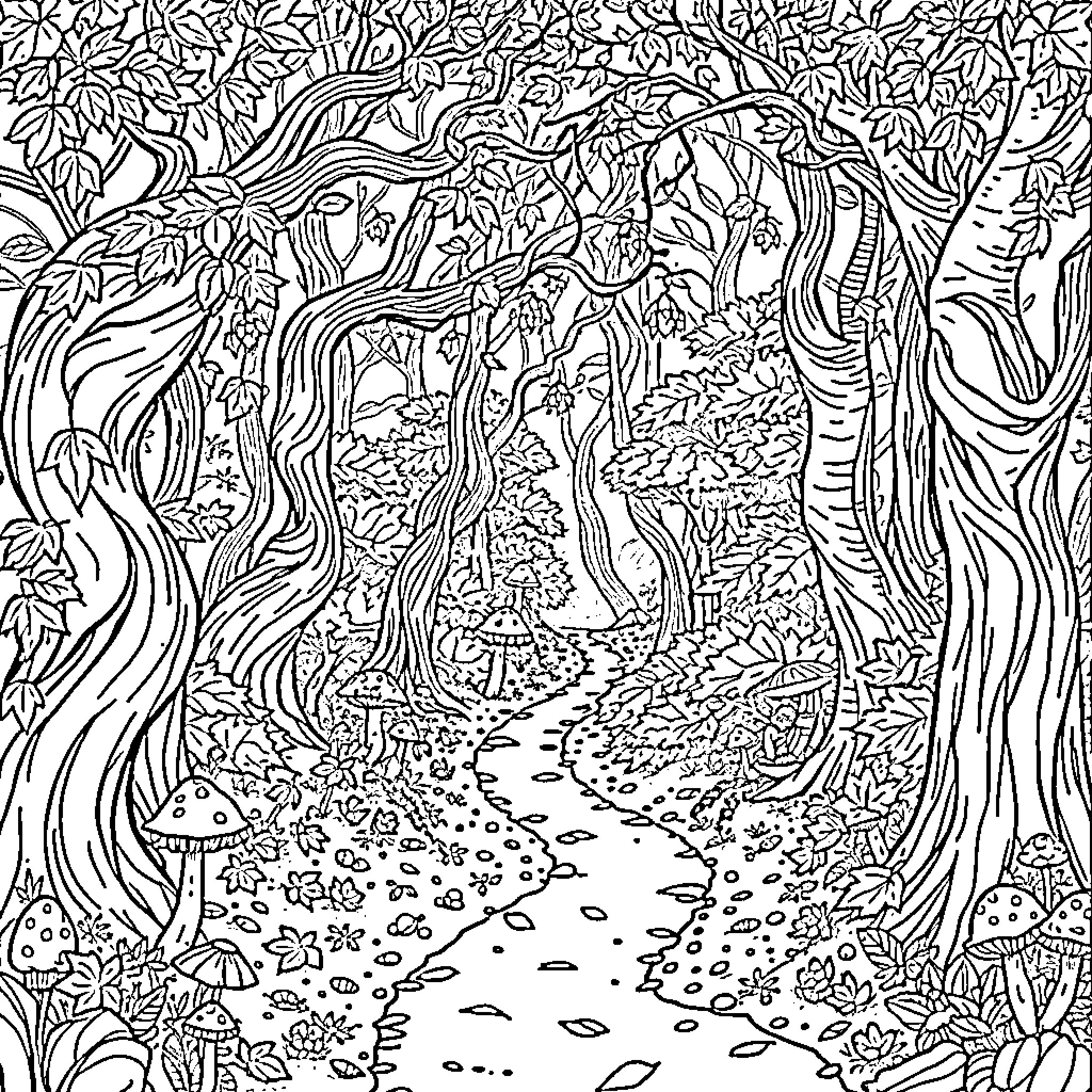 Forest Path with Fantastical Flora Coloring Page (free black-and-white line drawing printable PDF for all, from beginners to advanced learners, including children, teens, adults, and seniors)