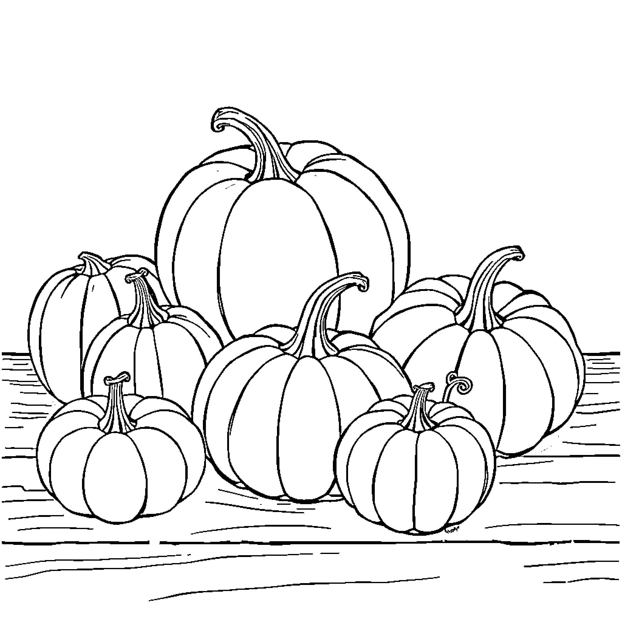 Pumpkins gathered in the garden Coloring Page (free black-and-white line drawing printable PDF for all, from beginners to advanced learners, including children, teens, adults, and seniors)