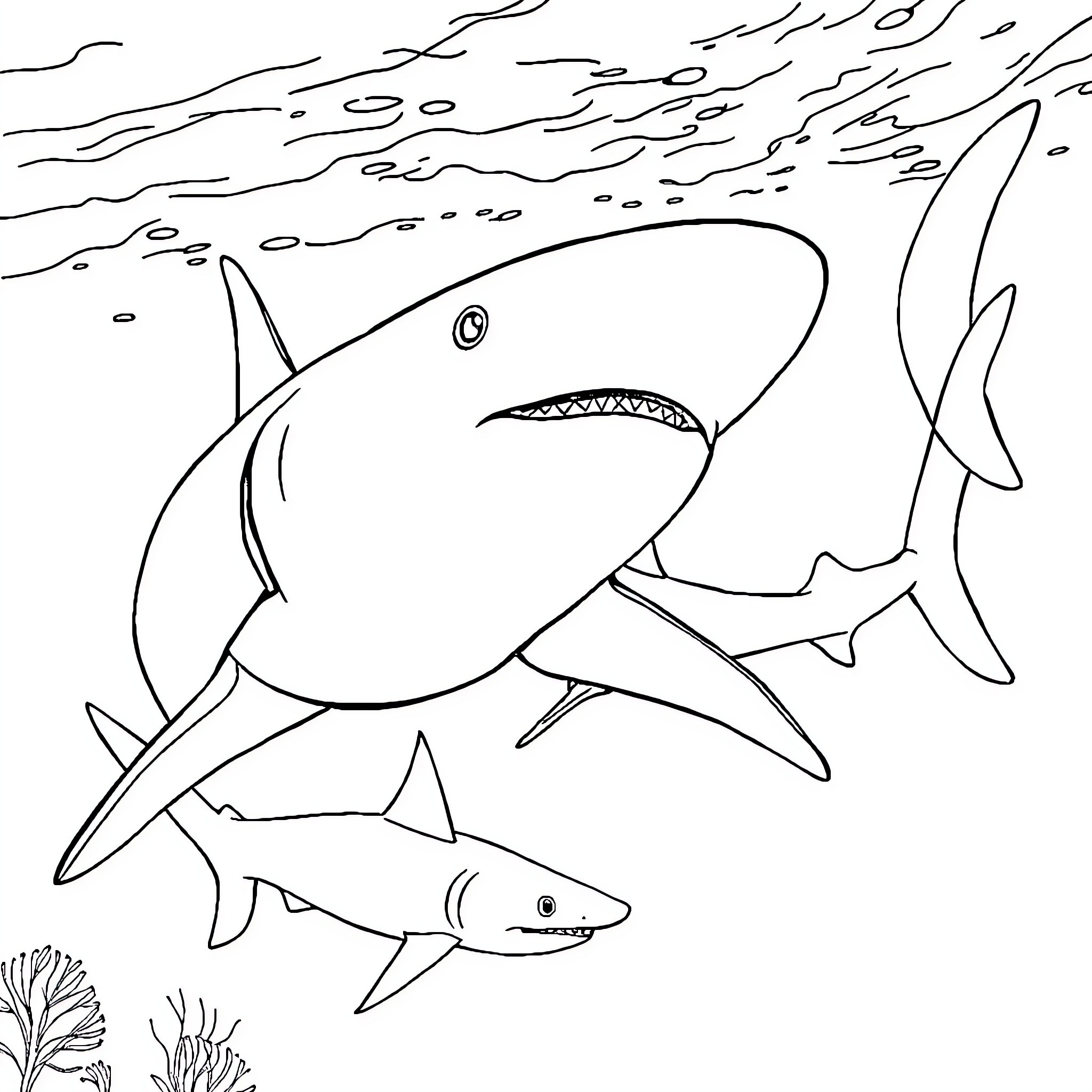 Shark swimming in the ocean Coloring Page (free black-and-white line drawing printable PDF for all, from beginners to advanced learners, including children, teens, adults, and seniors)