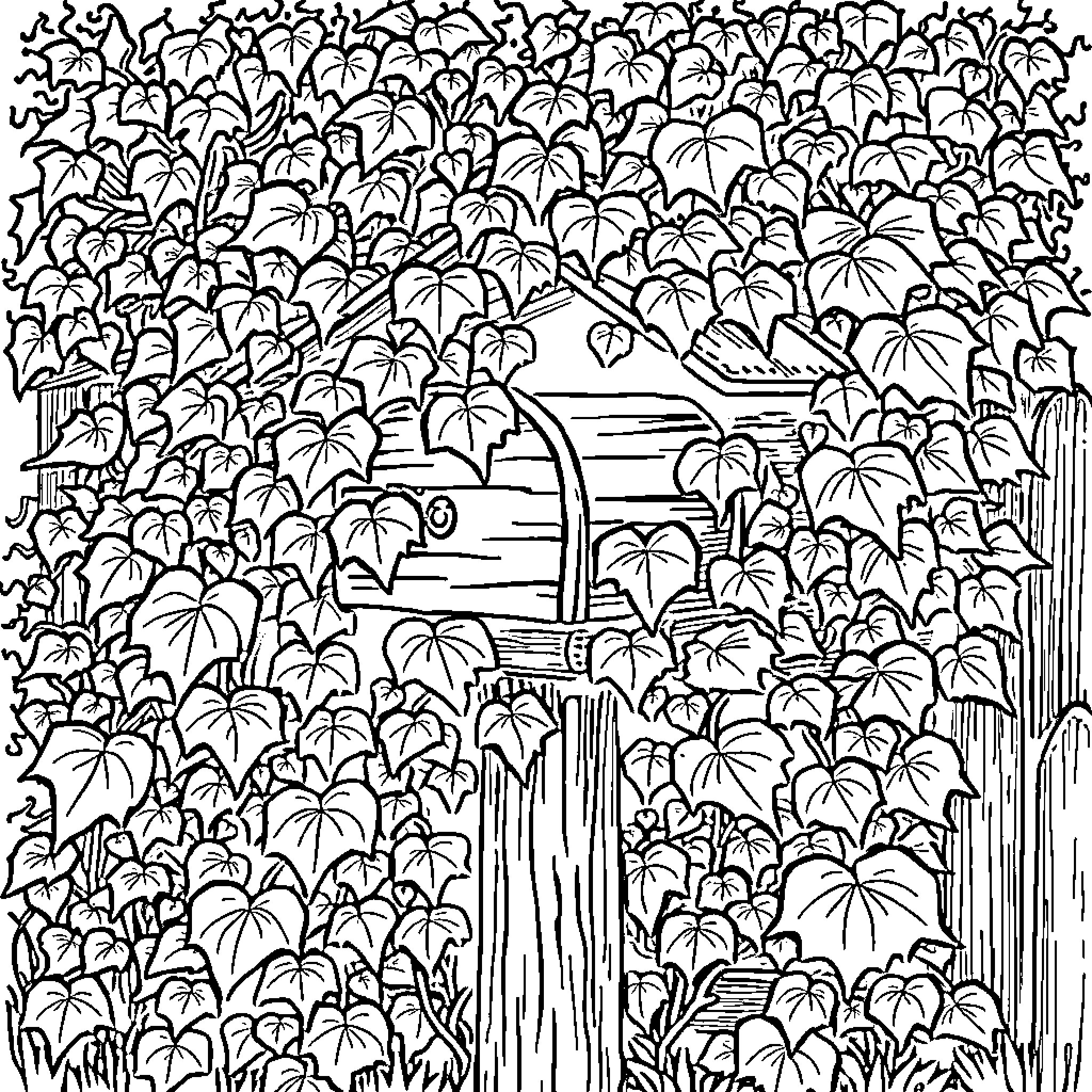 Mailbox hidden in dense foliage Coloring Page (free black-and-white line drawing printable PDF for all, from beginners to advanced learners, including children, teens, adults, and seniors)