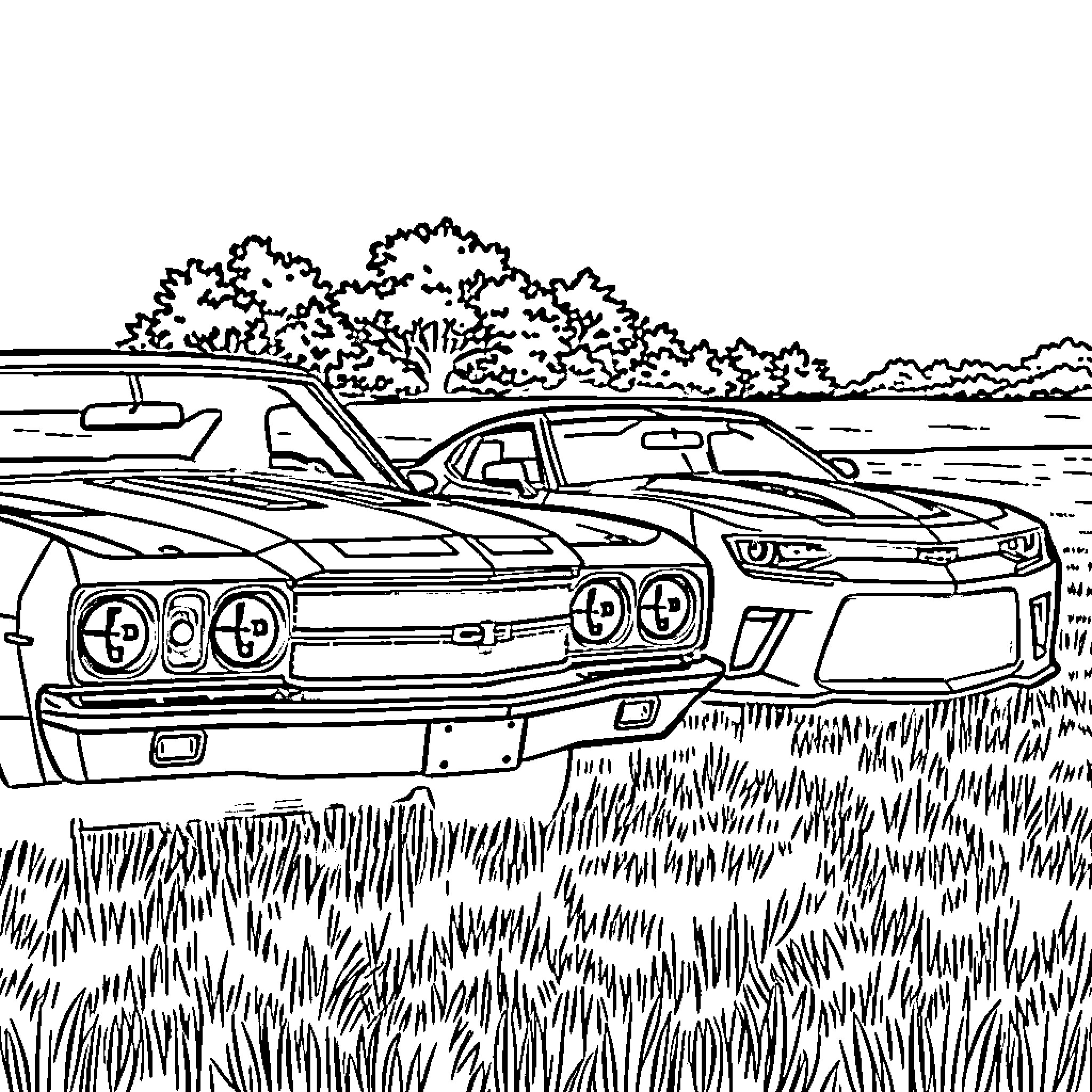 Chevy muscle cars parked in a grassy field Coloring Page (free black-and-white line drawing printable PDF for all, from beginners to advanced learners, including children, teens, adults, and seniors)
