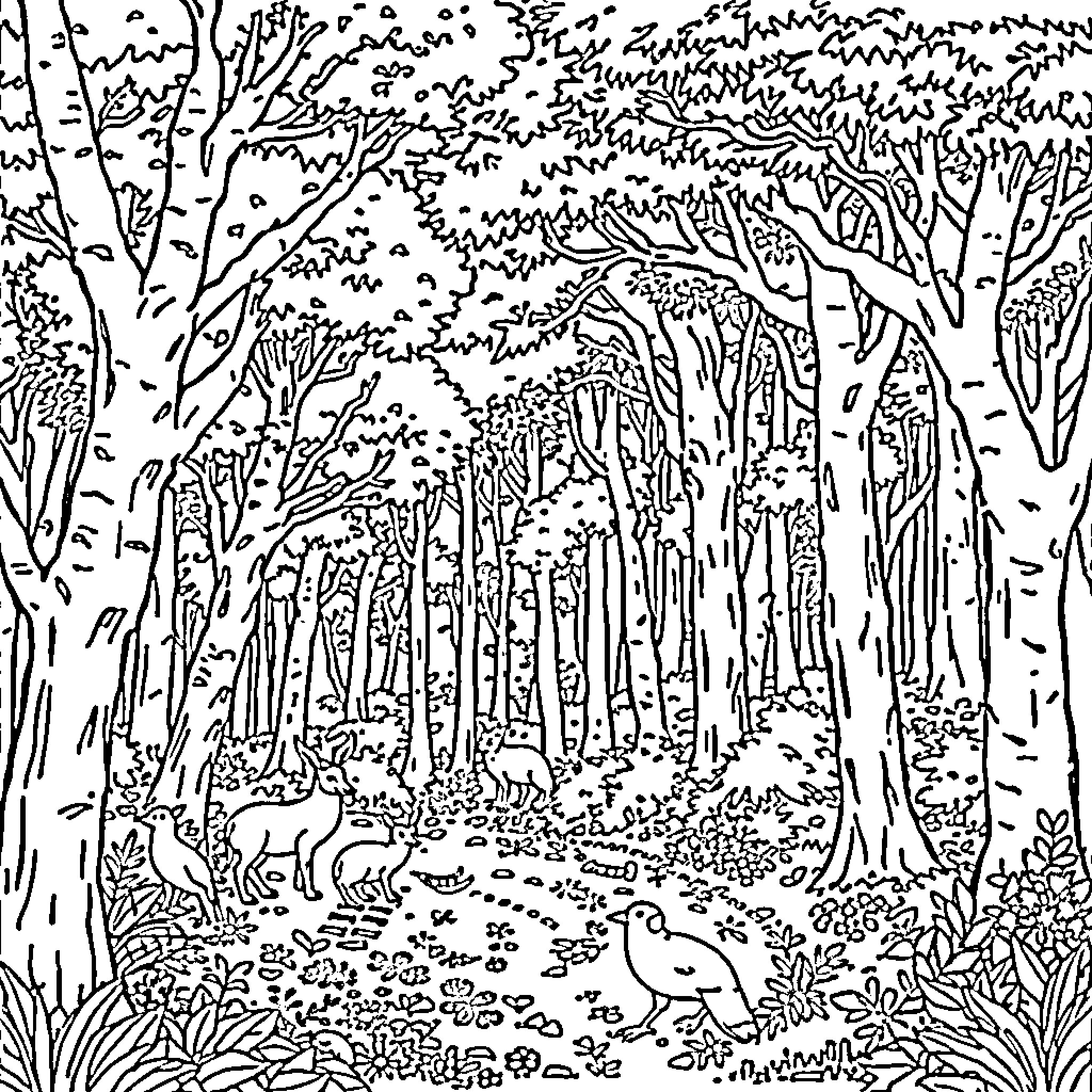 Forest Dwellers in the Woodland Hideaway Coloring Page (free black-and-white line drawing printable PDF for all, from beginners to advanced learners, including children, teens, adults, and seniors)