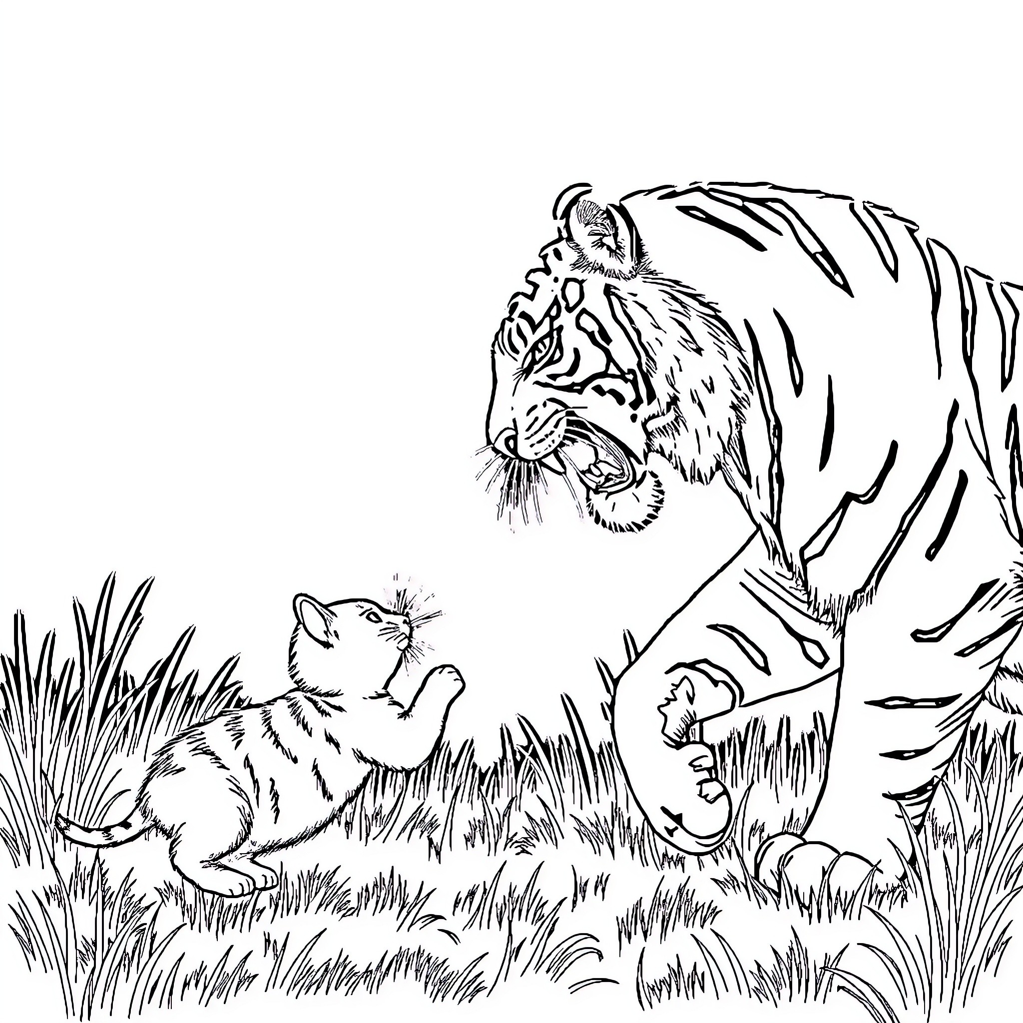 Cat vs Tiger - Confrontation in the Wilderness Coloring Page (free black-and-white line drawing printable PDF for all, from beginners to advanced learners, including children, teens, adults, and seniors)