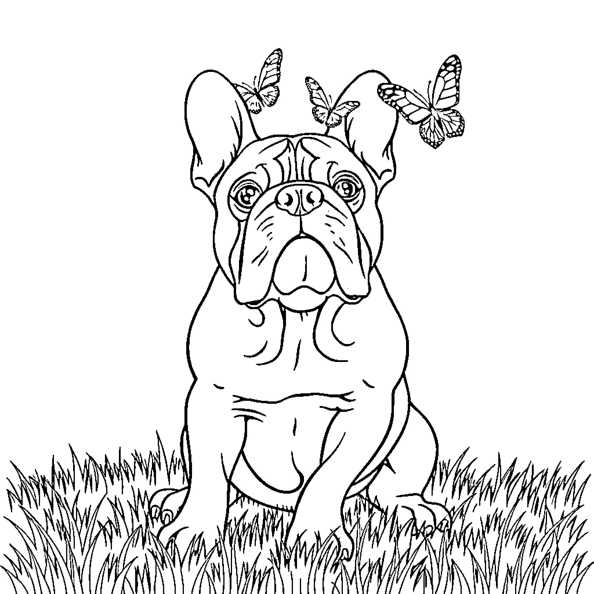 Bulldog surrounded by butterflies in grassy field Coloring Page (free black-and-white line drawing printable PDF for all, from beginners to advanced learners, including children, teens, adults, and seniors)